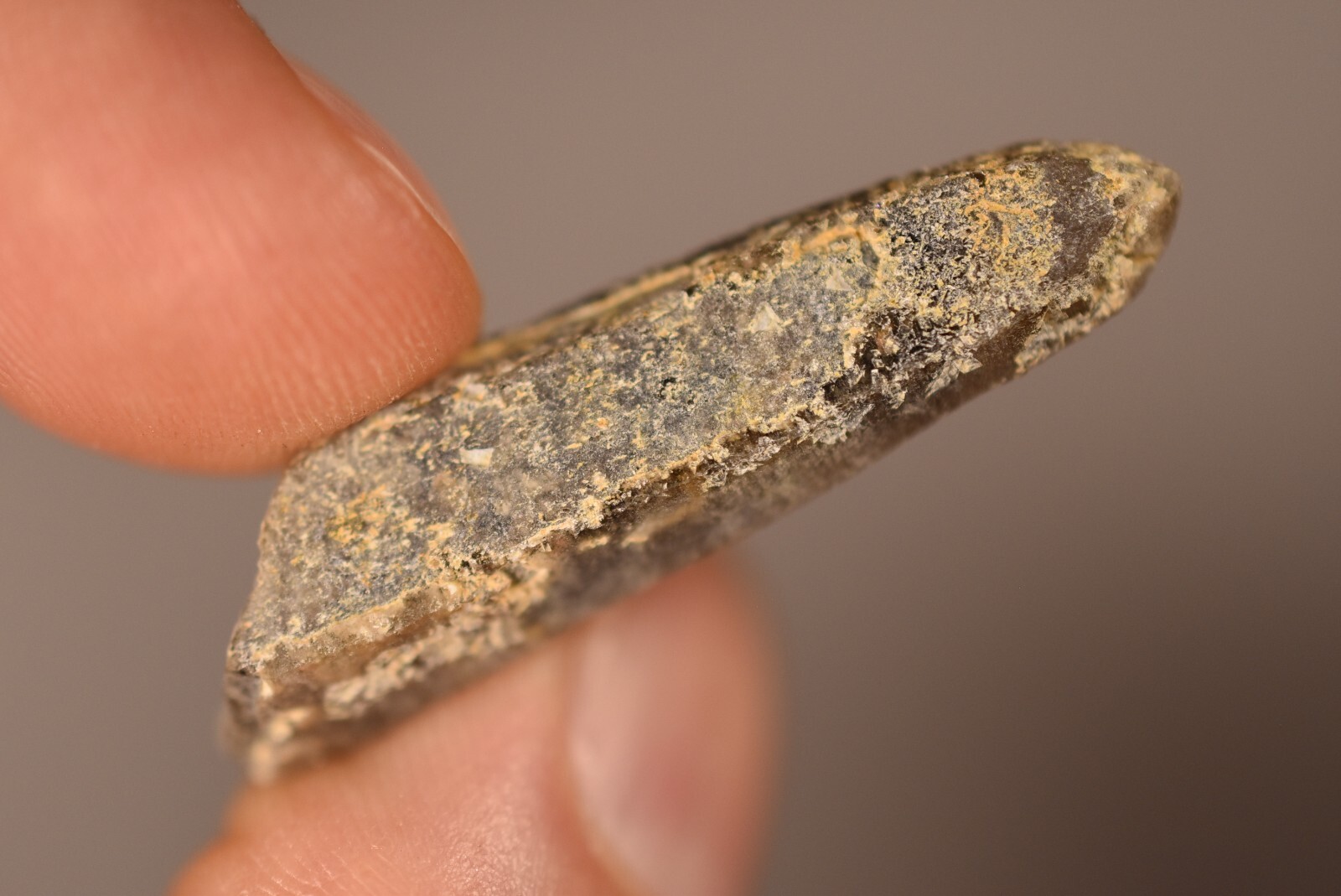 3 *AUSTRALIAN* SMOKEY QUARTZ 2-4cm 19g Natural Crystal Smoky New England NSW