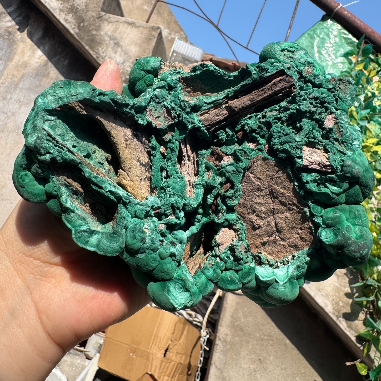 1180G Natural Malachite crystal quartz Mineral Specimen Reiki congo