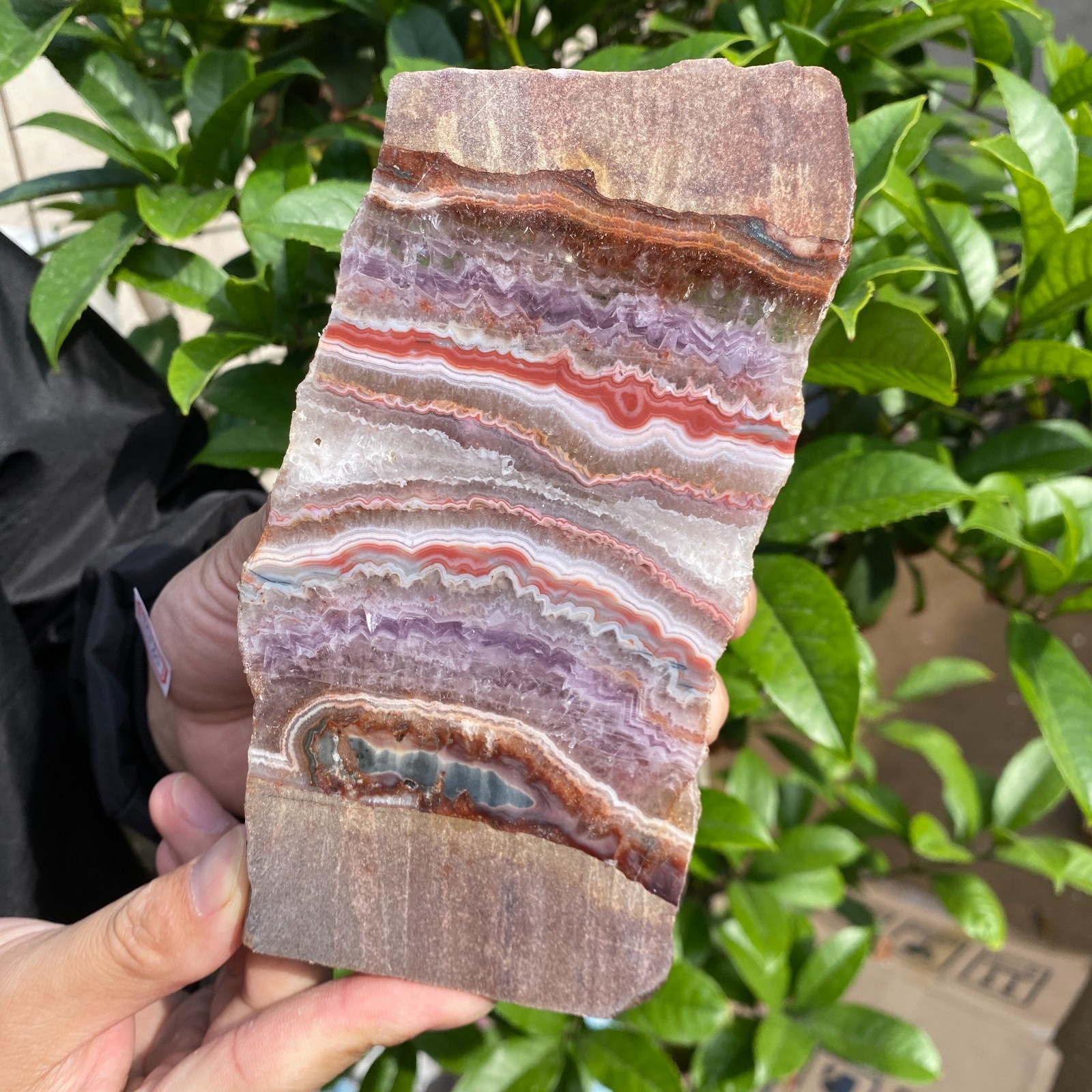 290g Natural Rare Amethyst Lace Agate Slab Quartz Crystal Reiki Healing