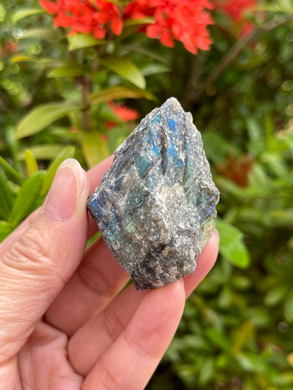 Grade A++ Labradorite Raw Natural Stone, 1″-2″ Rough Labradorite, Wholesale Lot