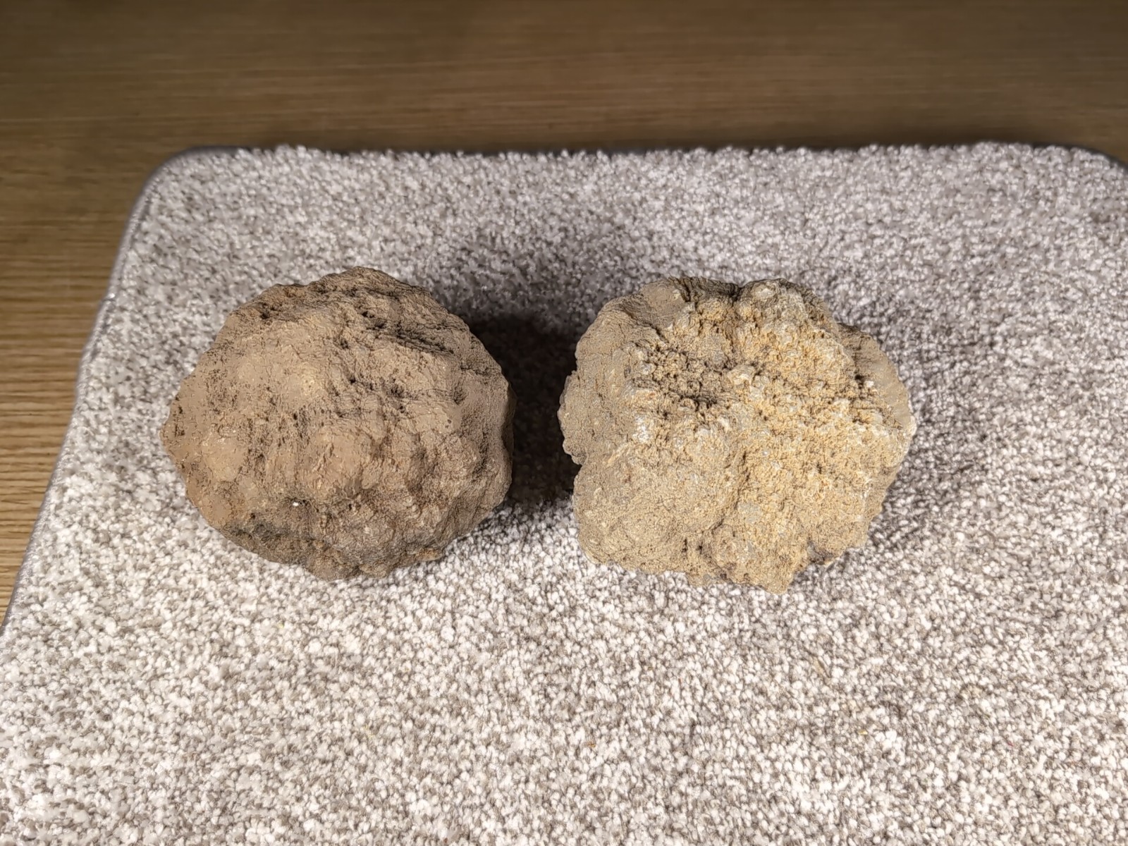 Geode Set Of 2 – Crack your own Native to Indiana Raw Rock