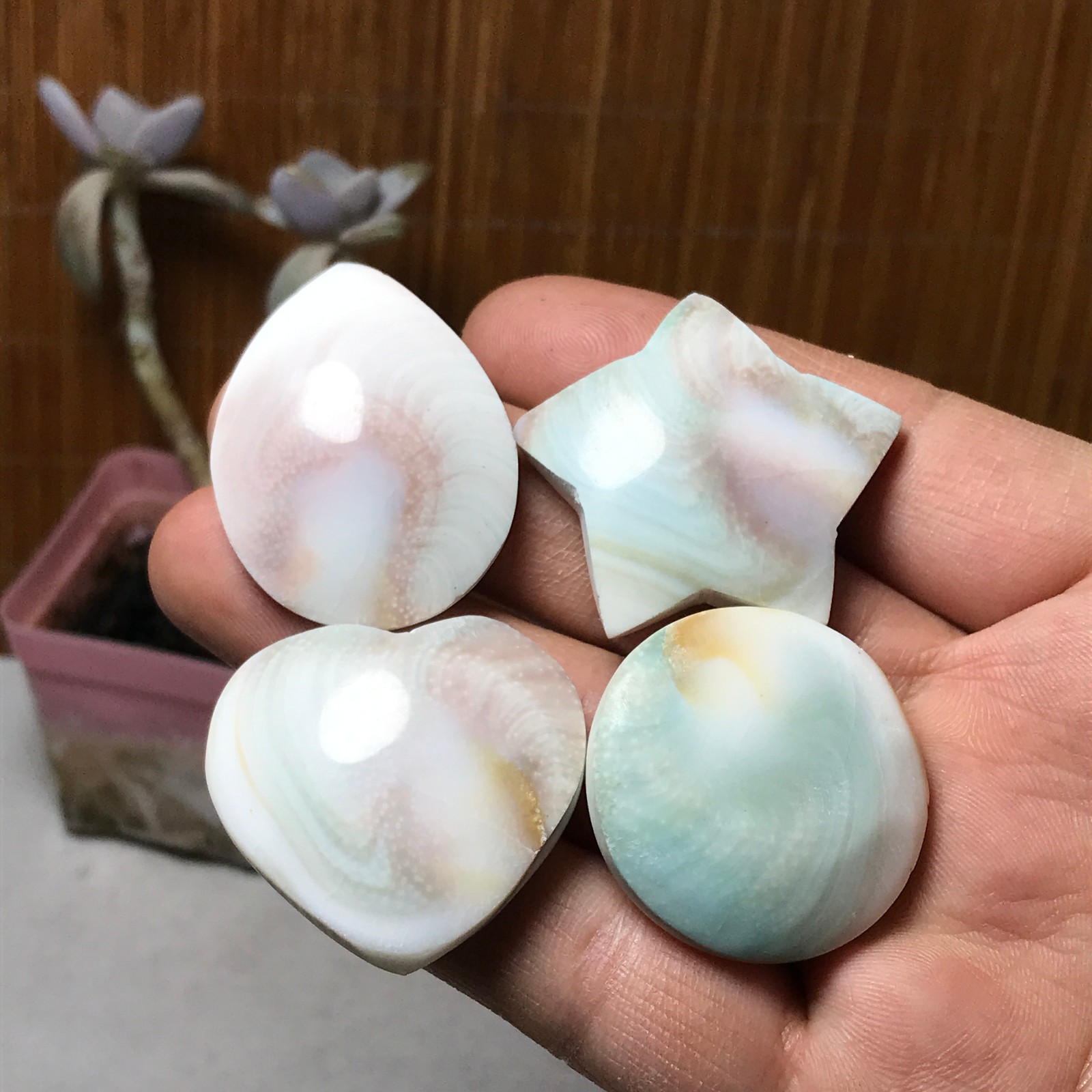 4Pcs Natural sun shell star Heart Reiki Shiva Eye ocean quartz carve A3331