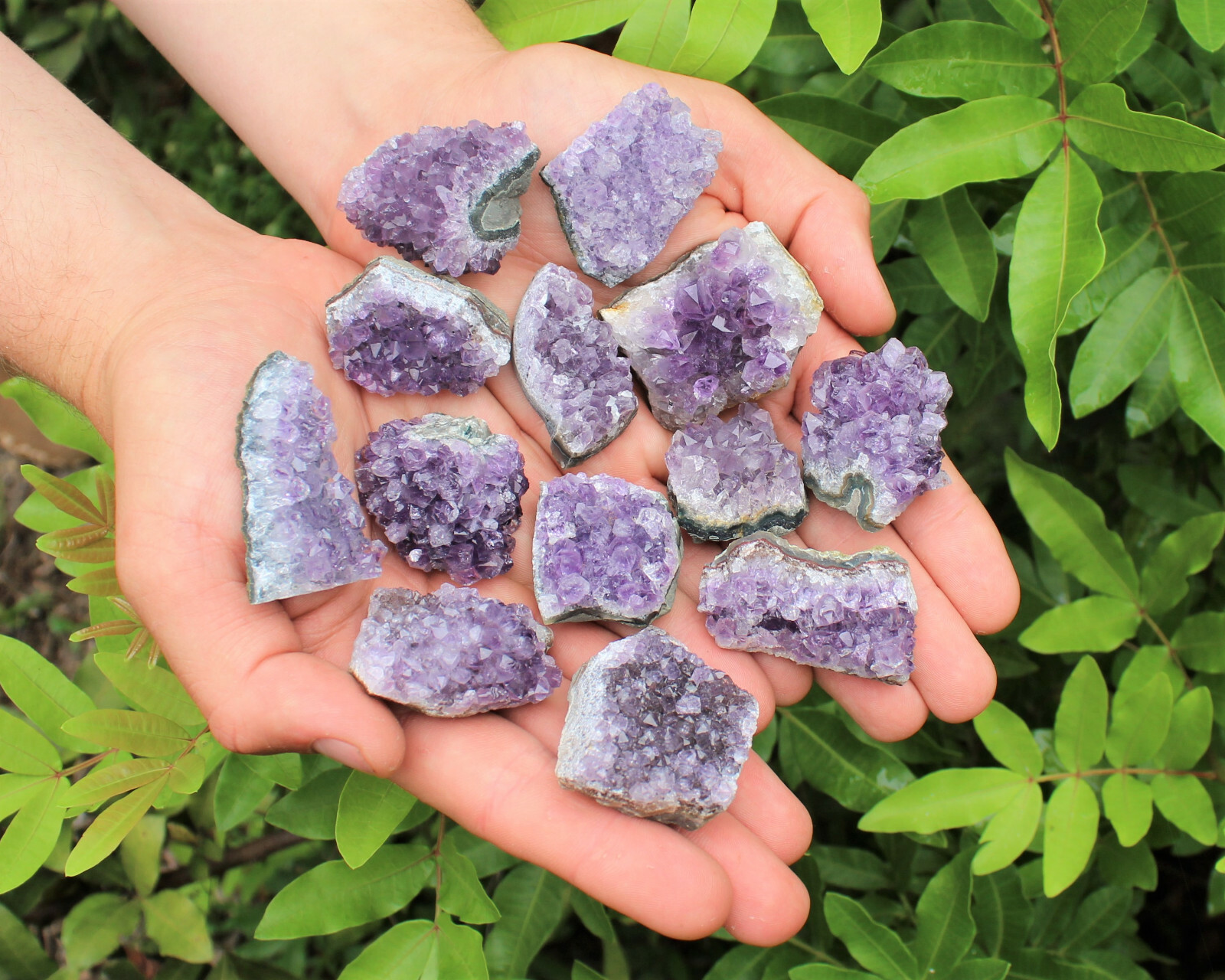 Bulk Lot 1 Kilo (2.2 lb) Amethyst Crystal Cluster Small Specimens 15 – 25 Pieces