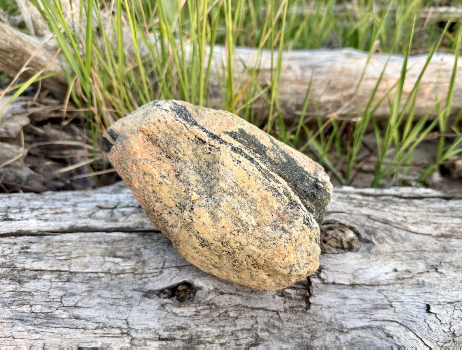Natural Lake Michigan Rock Granite Large LOOK! 👀 3lb+ READ CAREFULLY