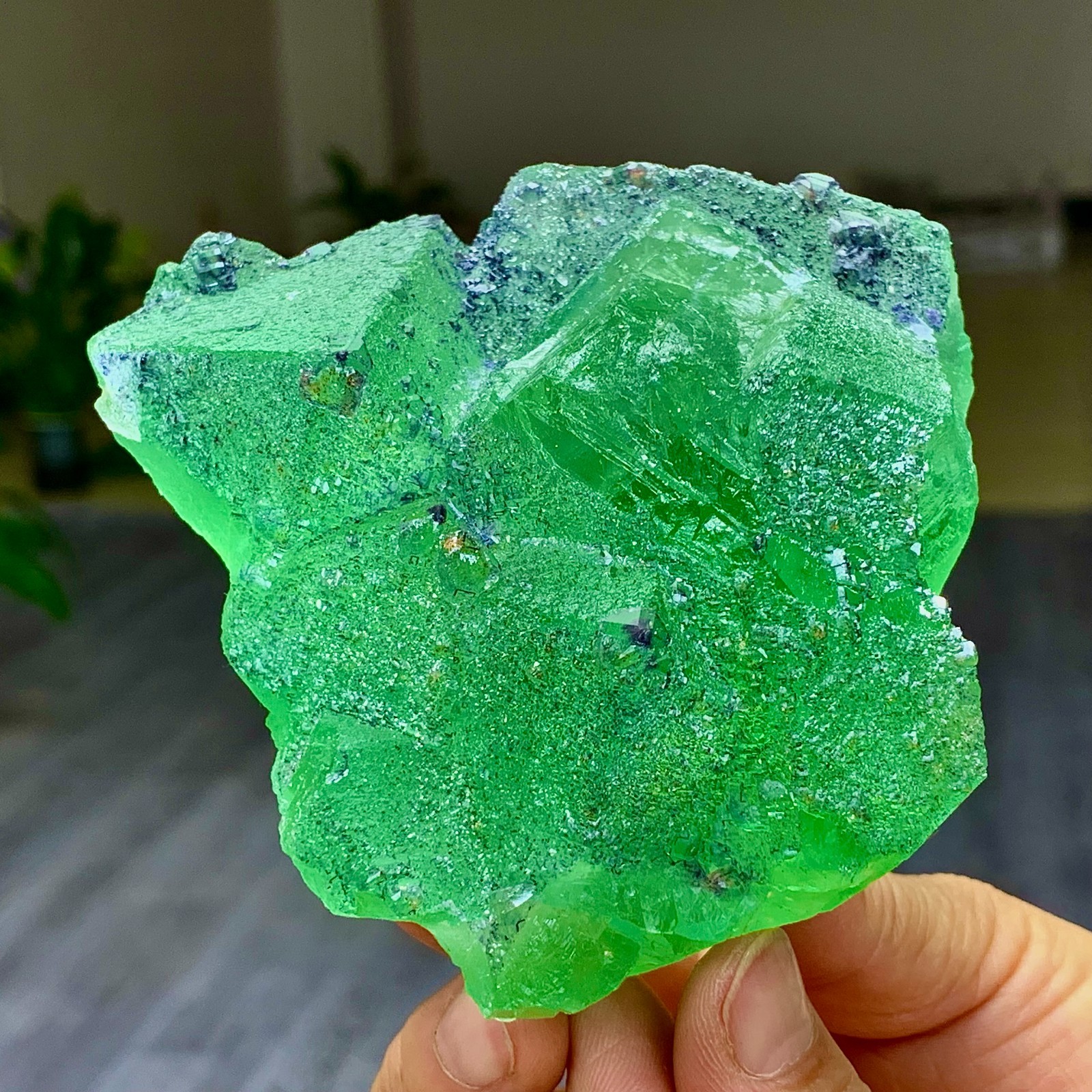 1.24LB Rare transparent green cubic Zhejiang fluorite mineral sample