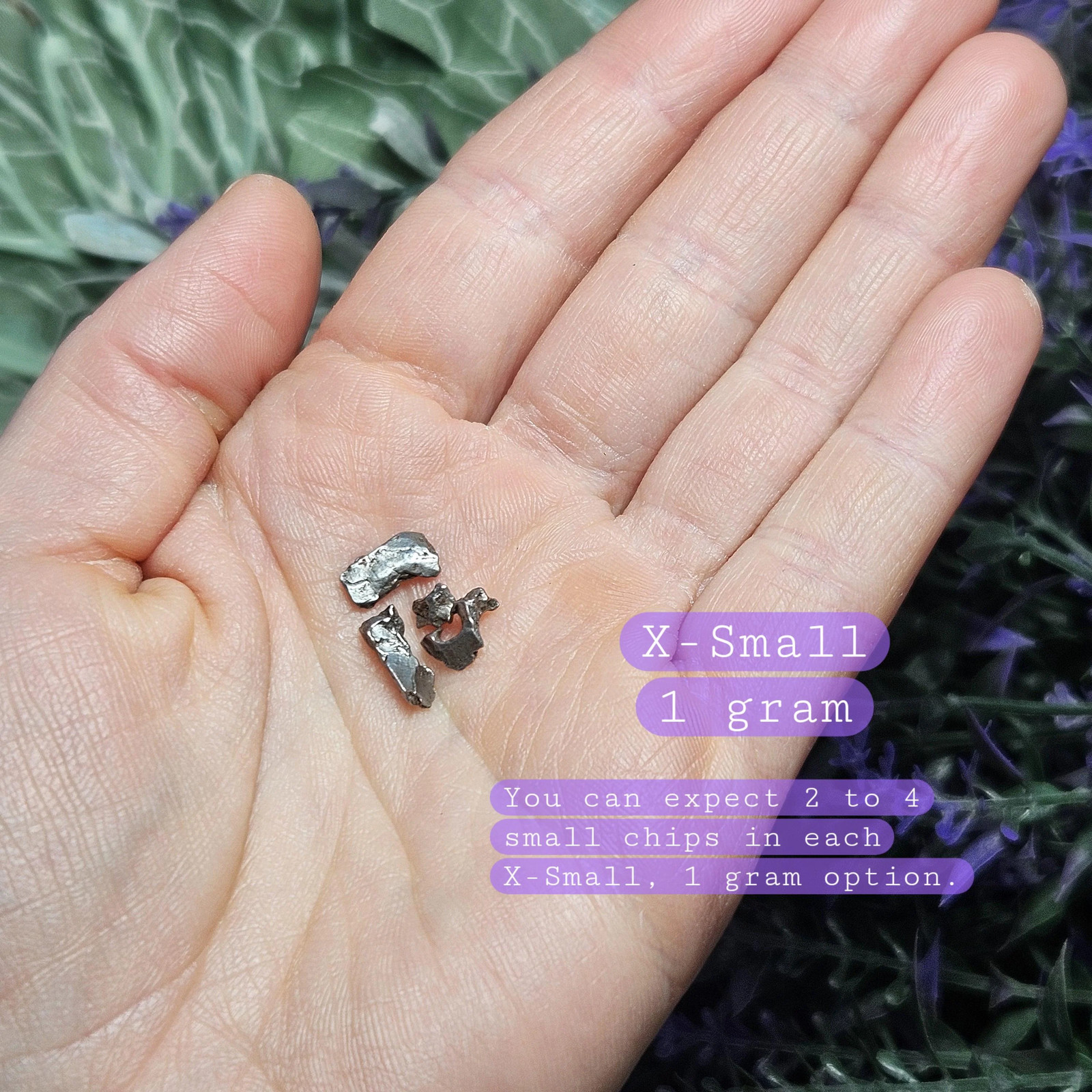 Meteorite Specimen