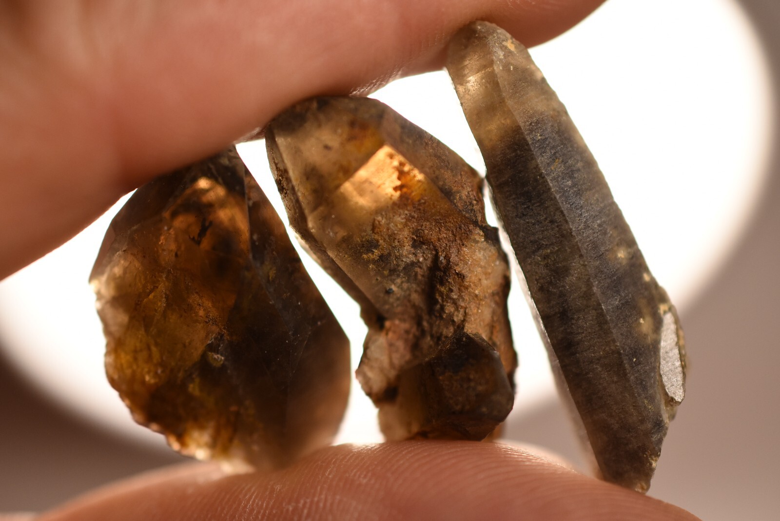 3 *AUSTRALIAN* SMOKEY QUARTZ 2-4cm 19g Natural Crystal Smoky New England NSW
