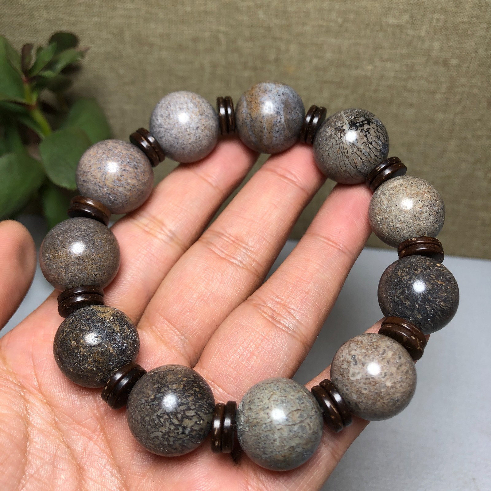 Top! Natural polished dinosaur bone bracelets specimen Madagascar 18mm A1005