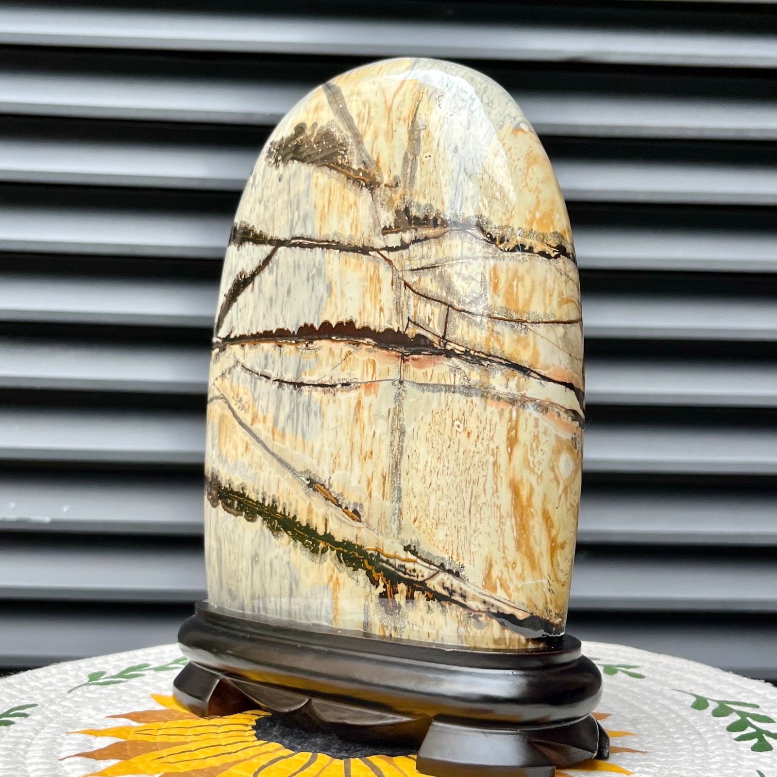5.3 lb Landscape Stone Polished Arc Mineral Specimen Collectible Display Art