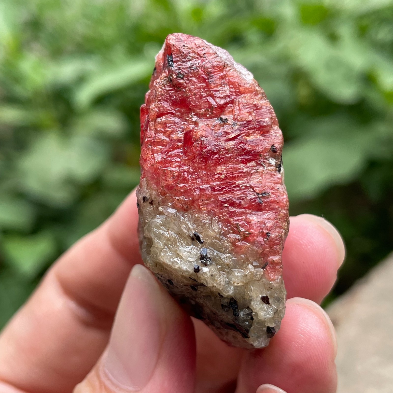 68g Small Raw Ore Red Black Rhodonite Quartz Gemstone Mineral Specimen