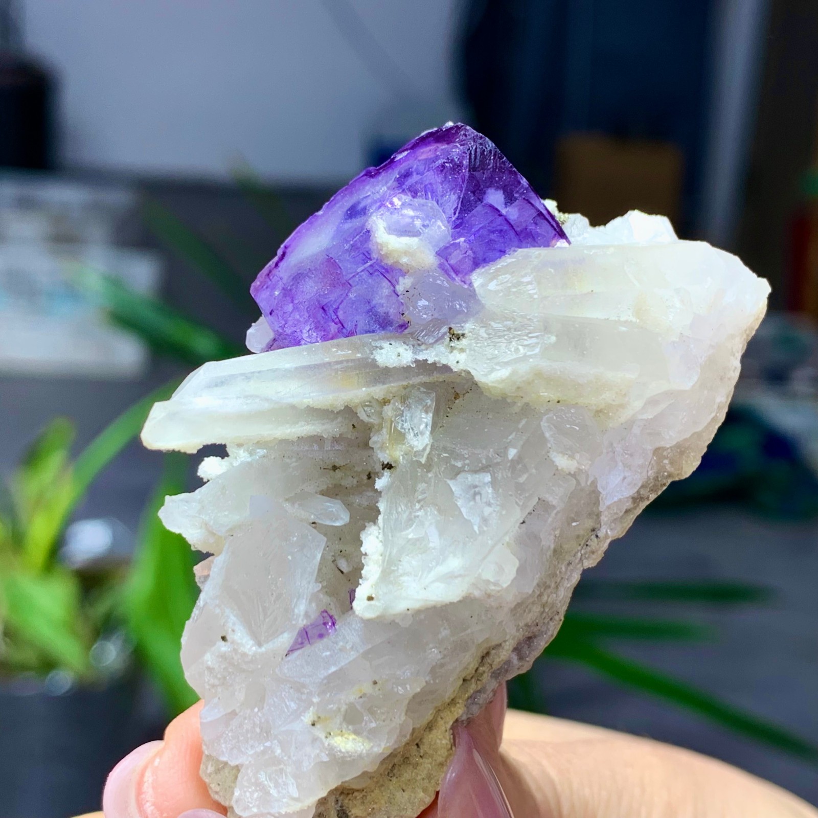 50G Natural transparent purple fluorite coexists with white crystal/Yaogangxian
