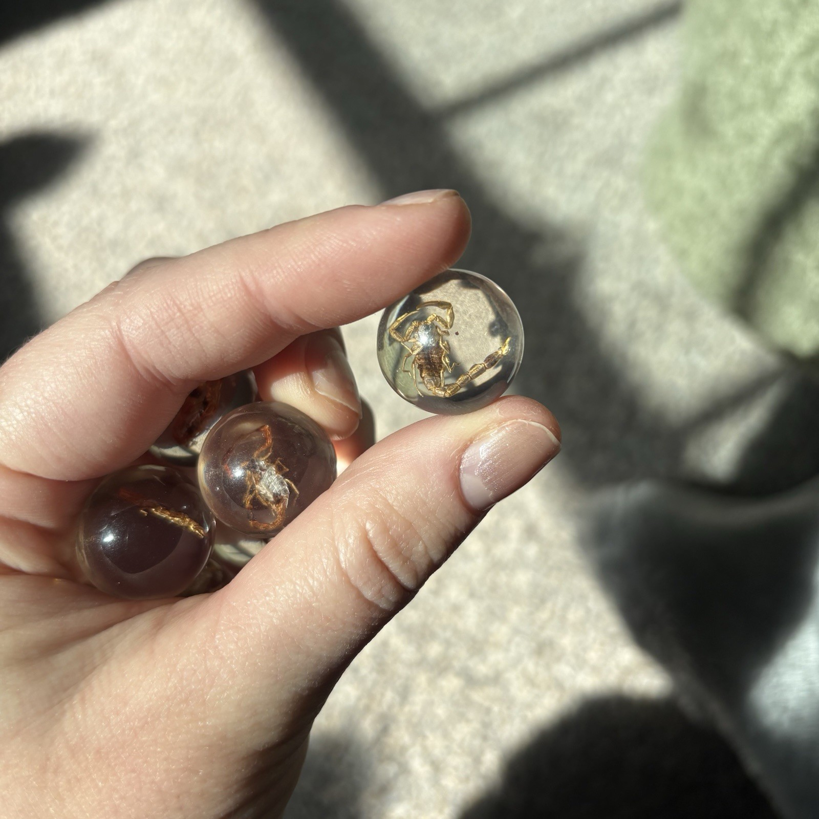 Scorpion In Resin Sphere Bulk Lot Of 6pcs Crystal Ball