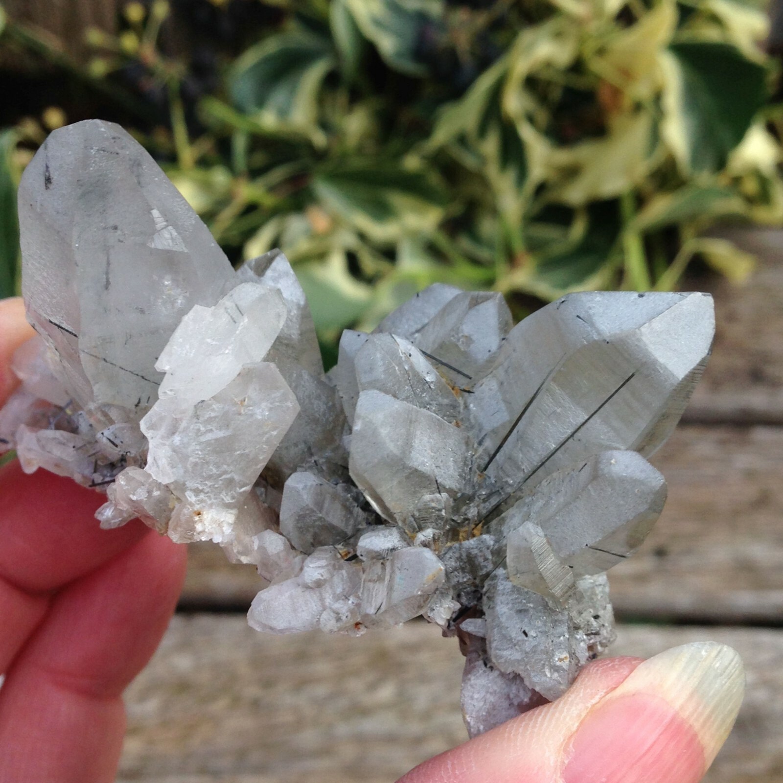 Quartz with Chlorite Crystal Cluster Connect to Nature Animals 66g 6×4.4×4.9cm