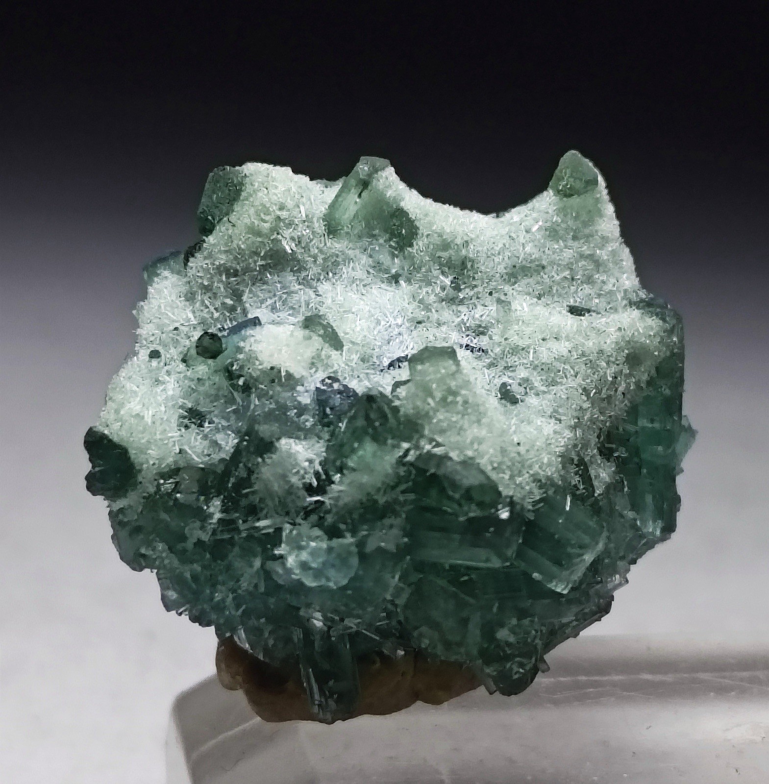 Natural Bluesh Tourmaline Crystal Cluster | Collector Mineral Specimen