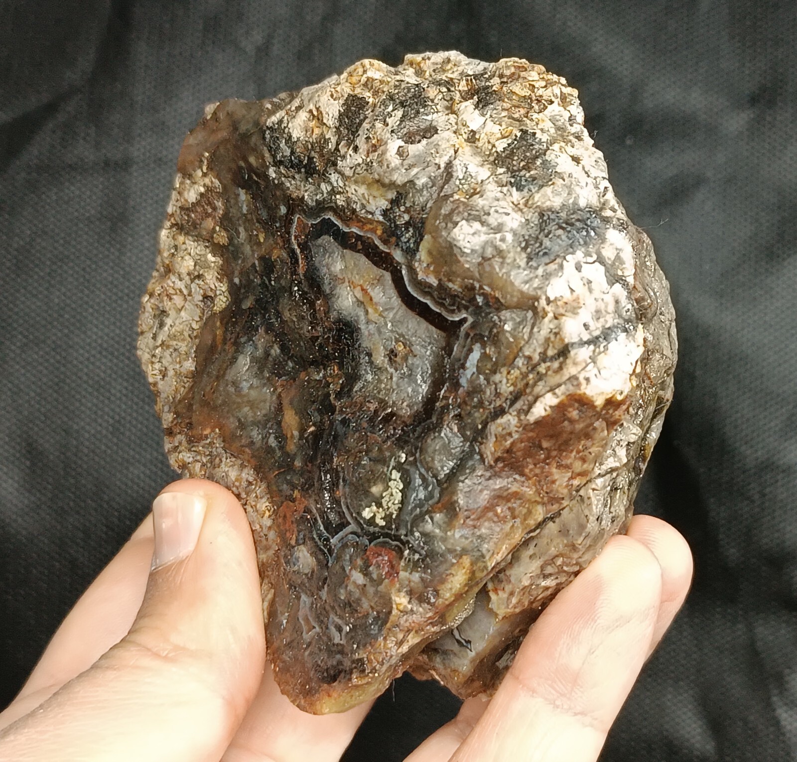 520g/1.15 lb turkish banded quartz agate stone rough, customs duty included