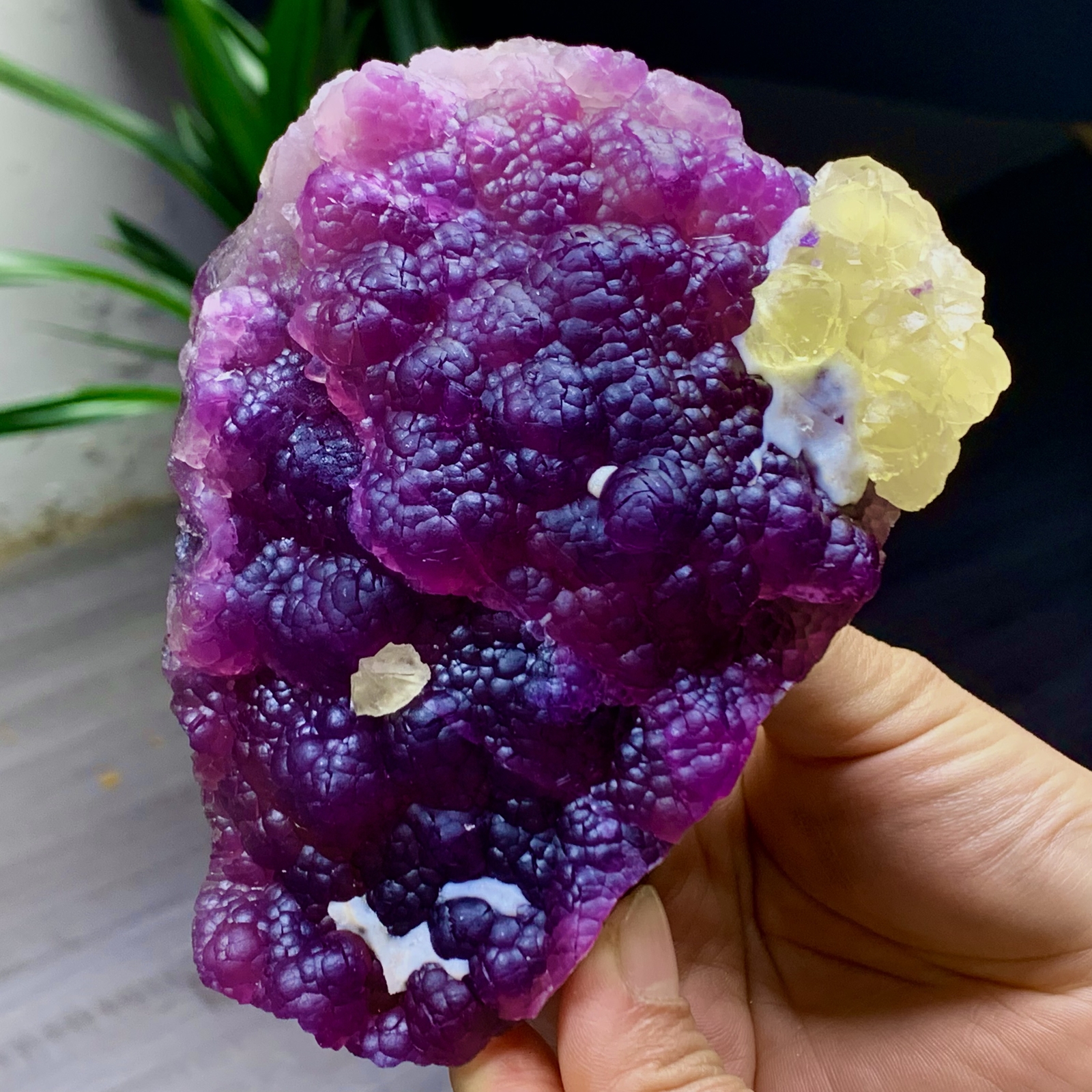 2.40LB Complete rare and gorgeous purple fluorite from Inner Mongolia, China