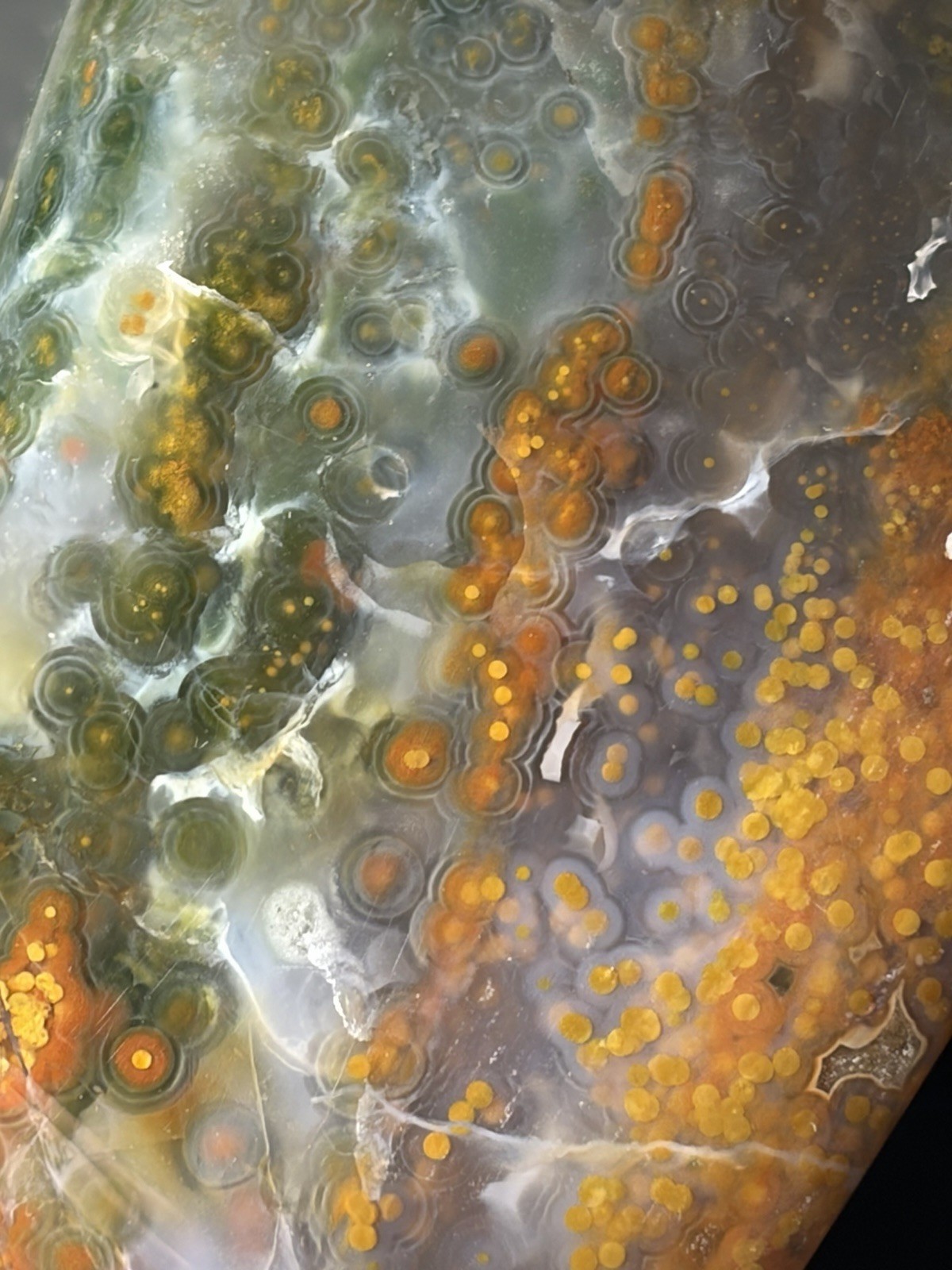 Jelly Ocean Jasper Free Form Colorful Orbs