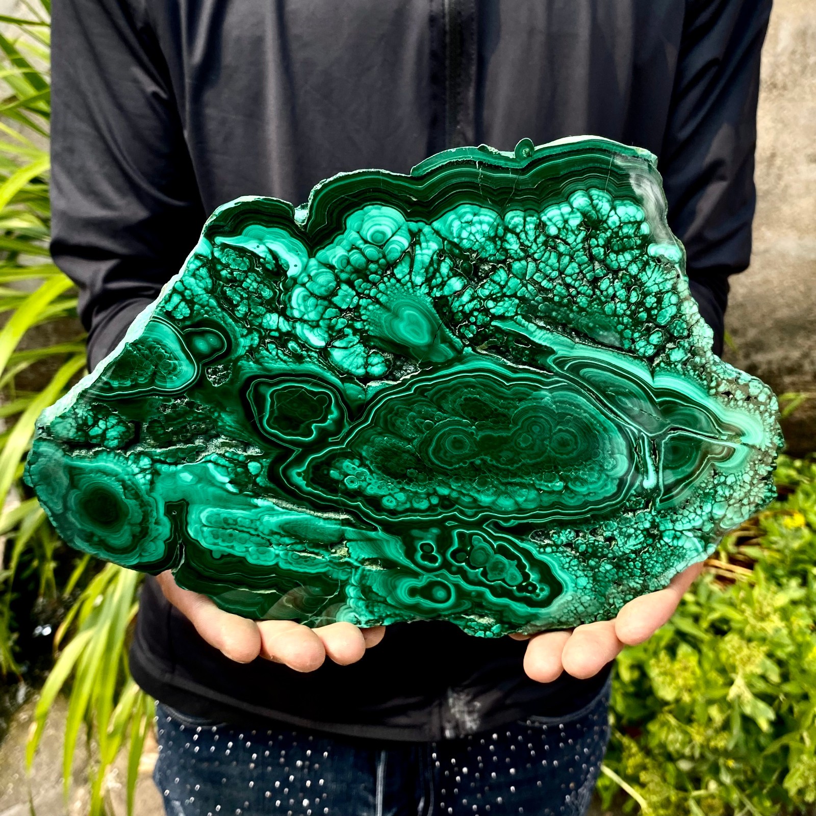 3.61LB Natural malachite slice quartz crystal luster mineral specimen