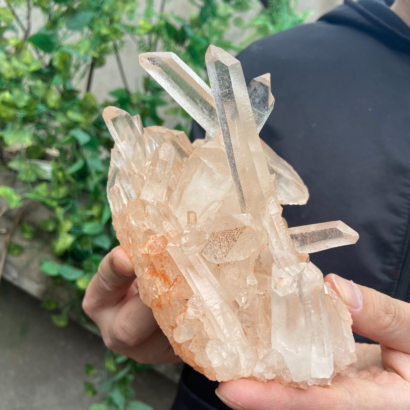 1.7lb Natural clear powder white quartz crystal cluster mineral specimen