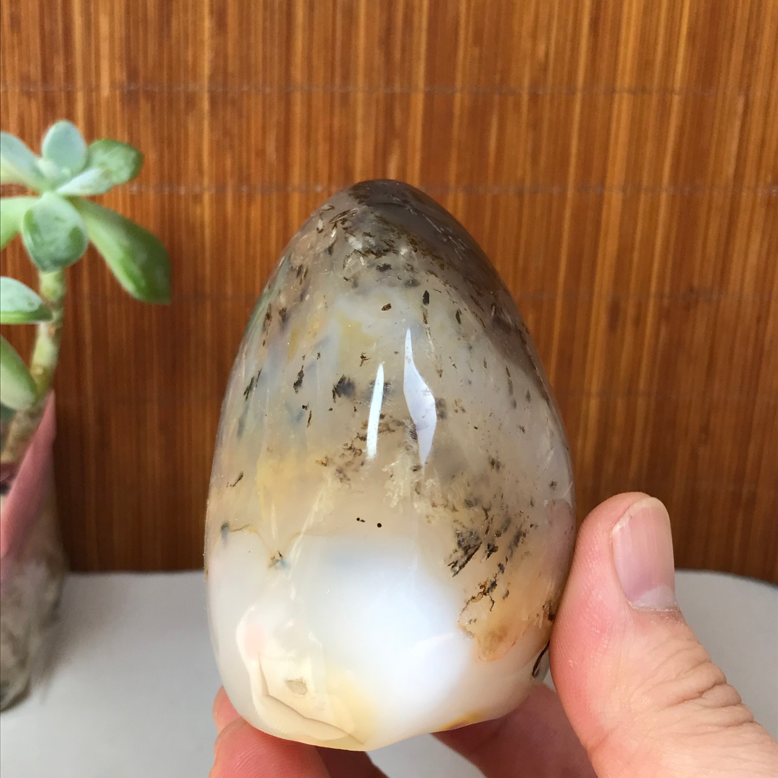 77-74-50mm Natural aquatic plants agate pretty Crystal specimens 433g A1877