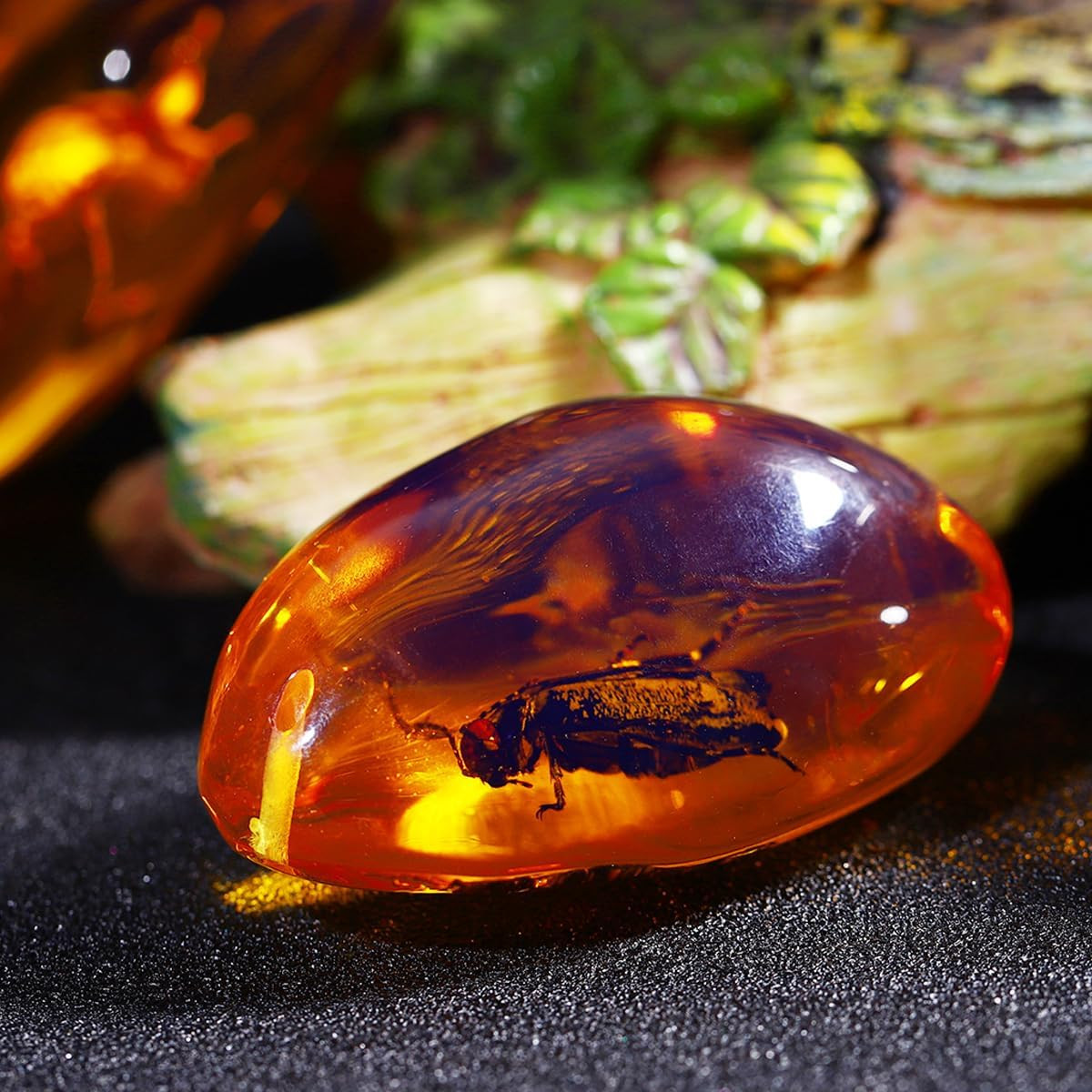 5Pcs Amber Fossil with Insects Samples Stones Crystal Specimens Home Decorations