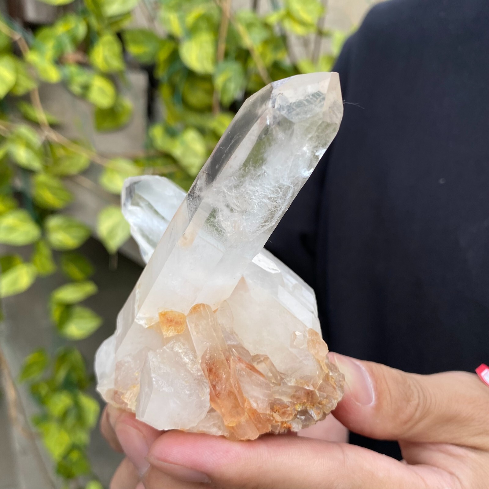 0.6lb Natural Clear White quart Crystal Cluster Raw Healing Specimen