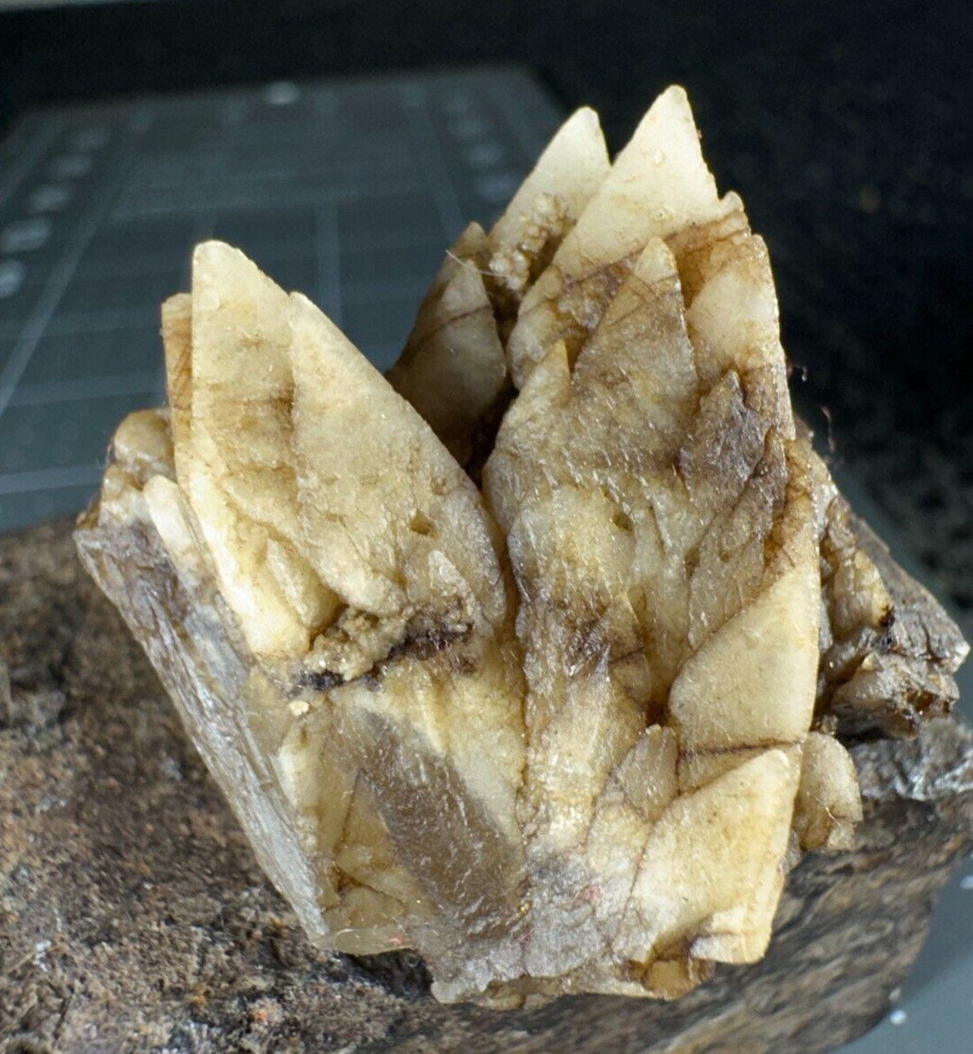 ➤ 1-3/8″ DOGTOOTH CALCITE CLUSTER Pleasant Ridge Rensselaer Indiana VIDEO➤430