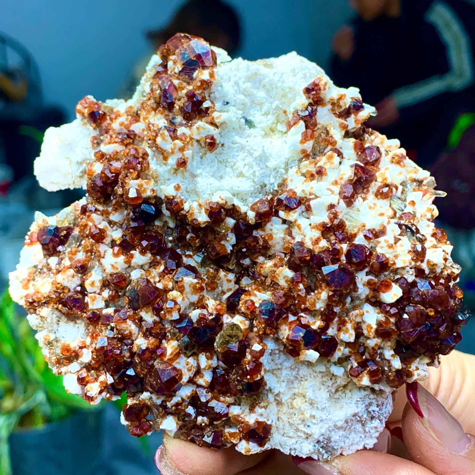 205G Natural Garnet with rock Gorgeous rough raw Crystal Mineral Specimen D32