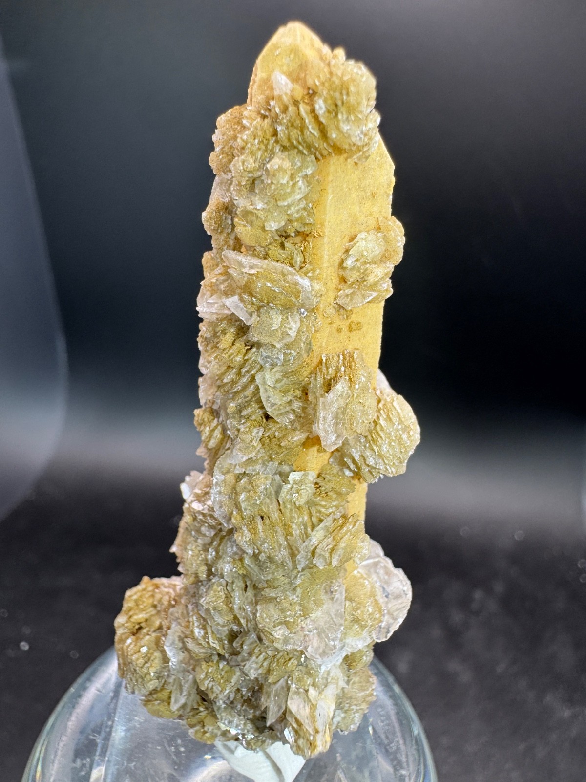 6631 Yellow Candle Quartz Point with Petal Calcite Inner Mongolia 28g