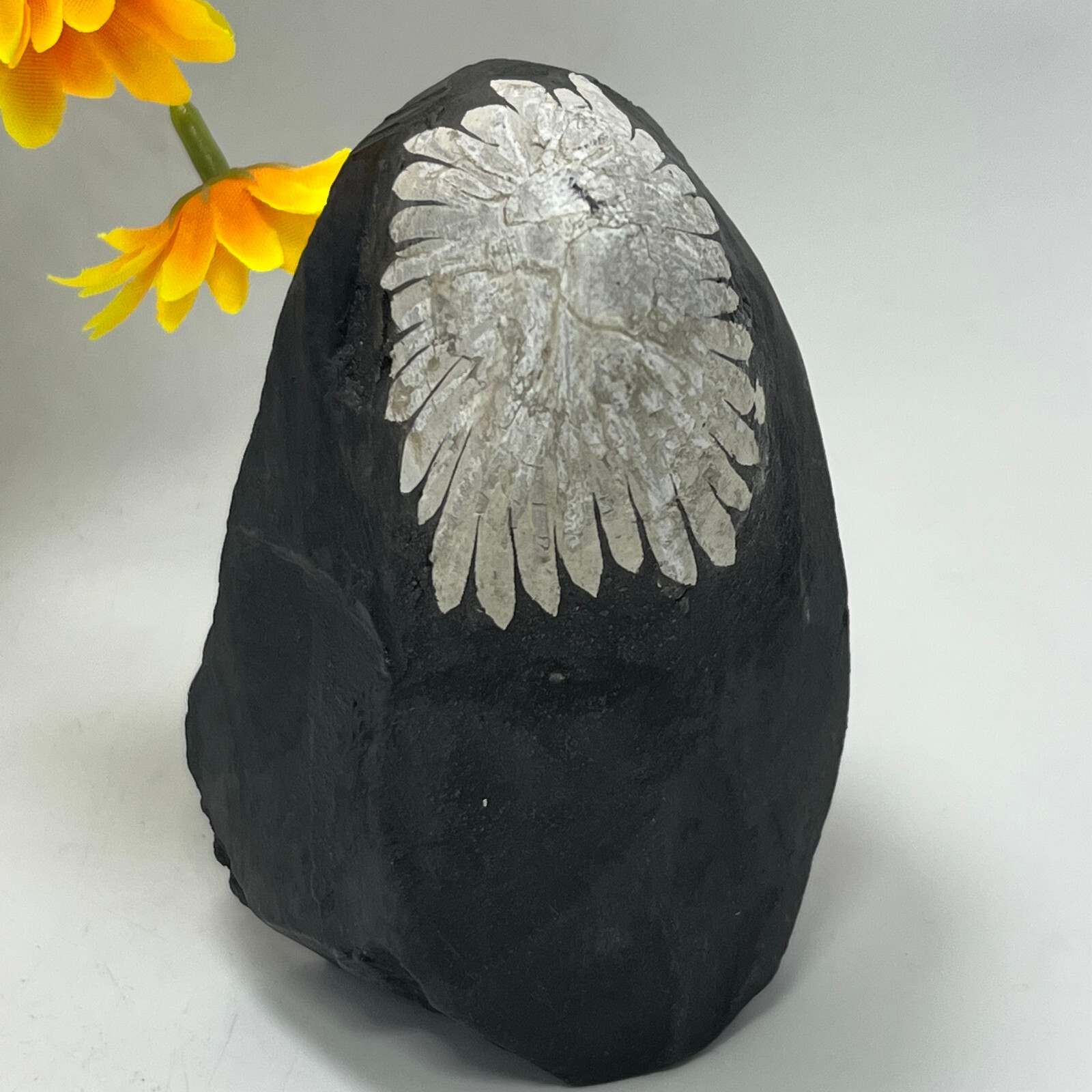 454G Natural chrysanthemum stone Crystal quartz carving aura Specimen healing
