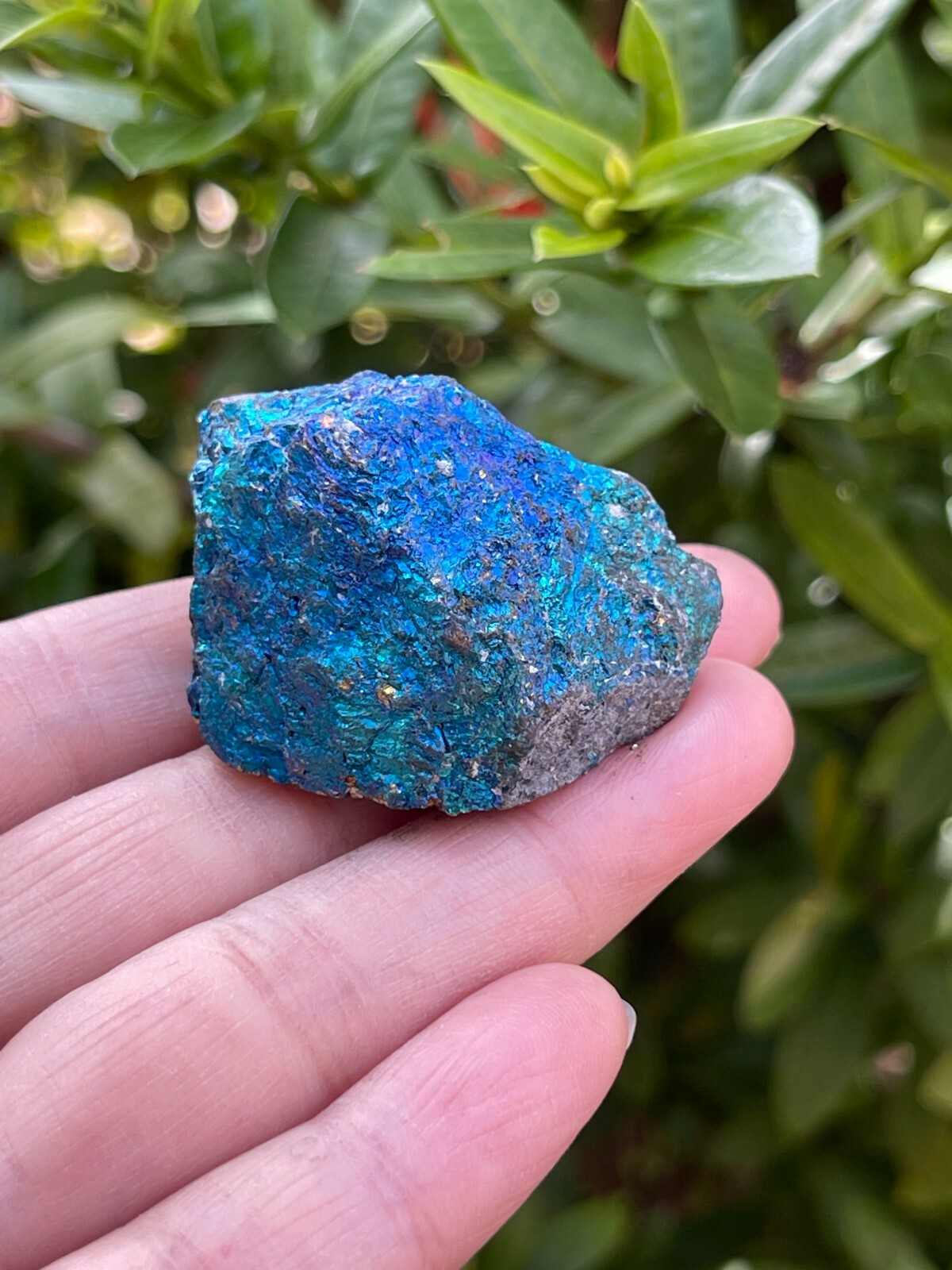 Grade A++ Chalcopyrite Natural Stone, Raw Peacock Ore Stone, Wholesale Bulk Lot