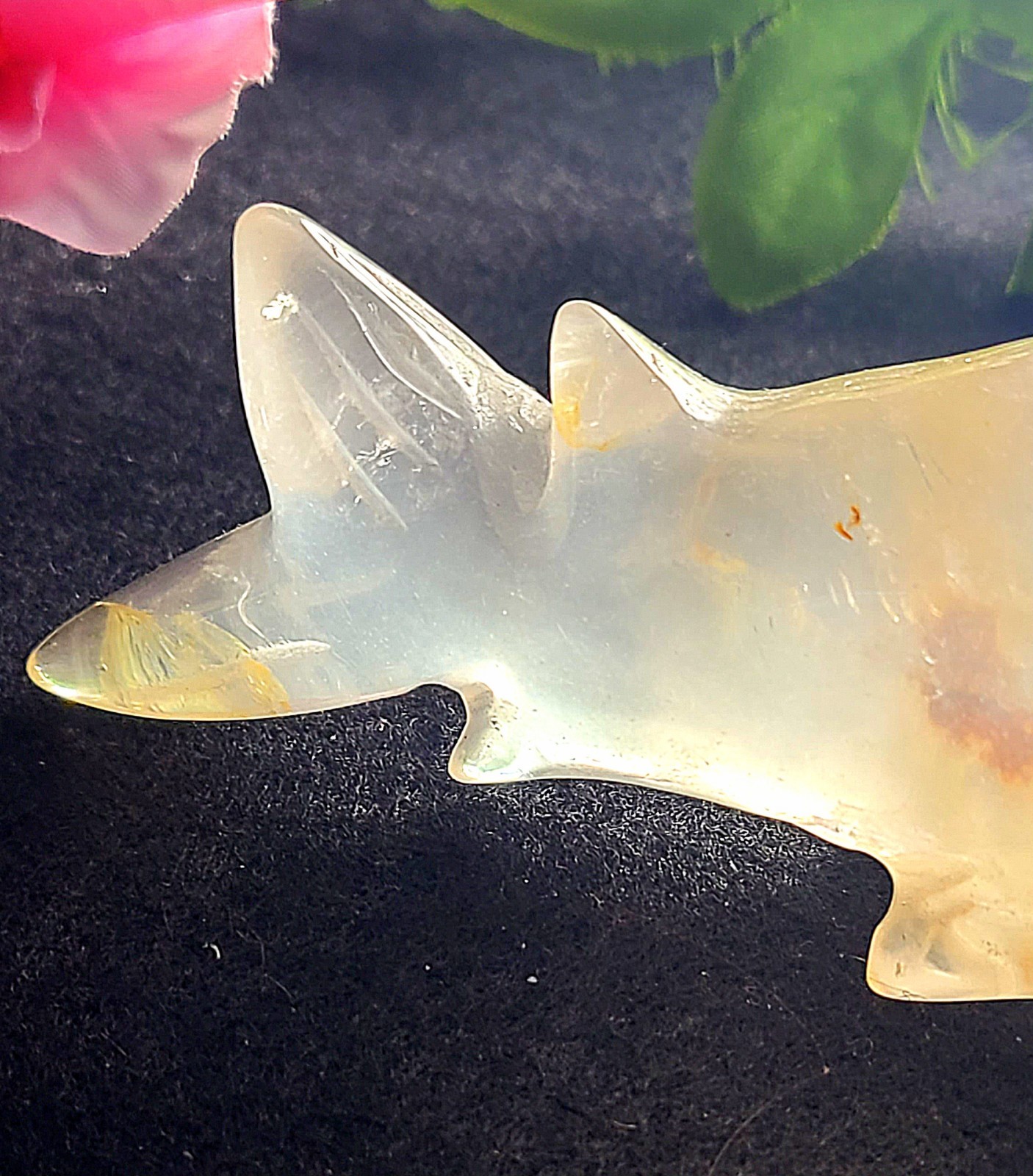 X Large 5.6″ Unique 252g Golden Healer Quartz Shark Sea Crystal Carving