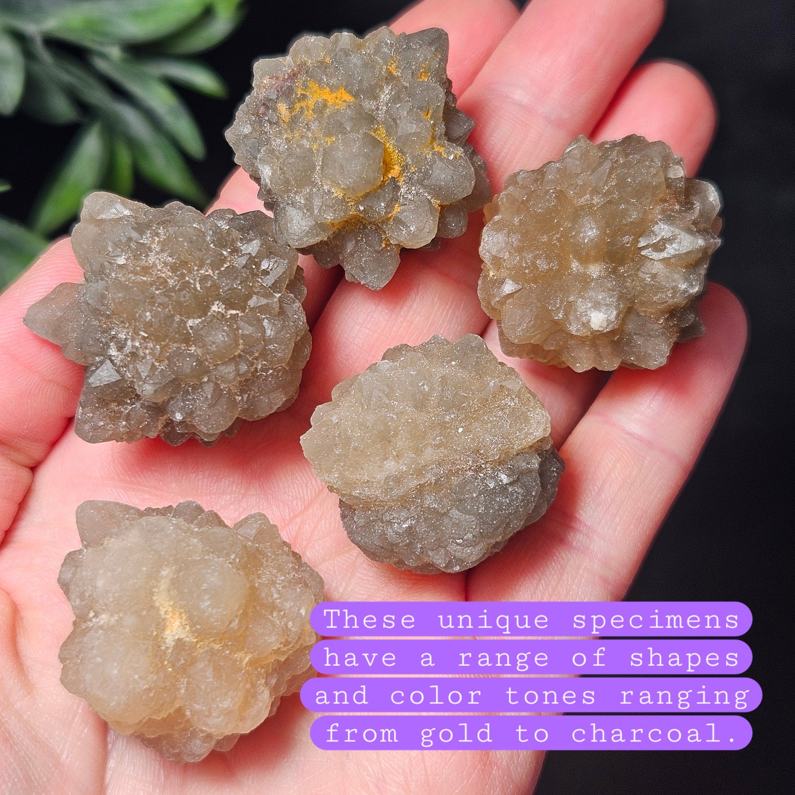 Natural Star Citrine from Morocco