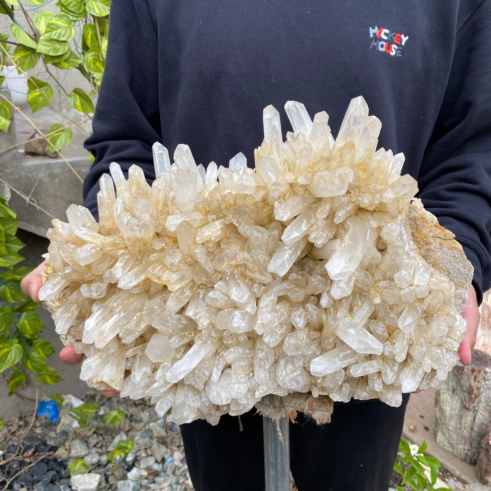 43.9lb Natural Clear White quart Crystal Cluster Raw Healing Specimen