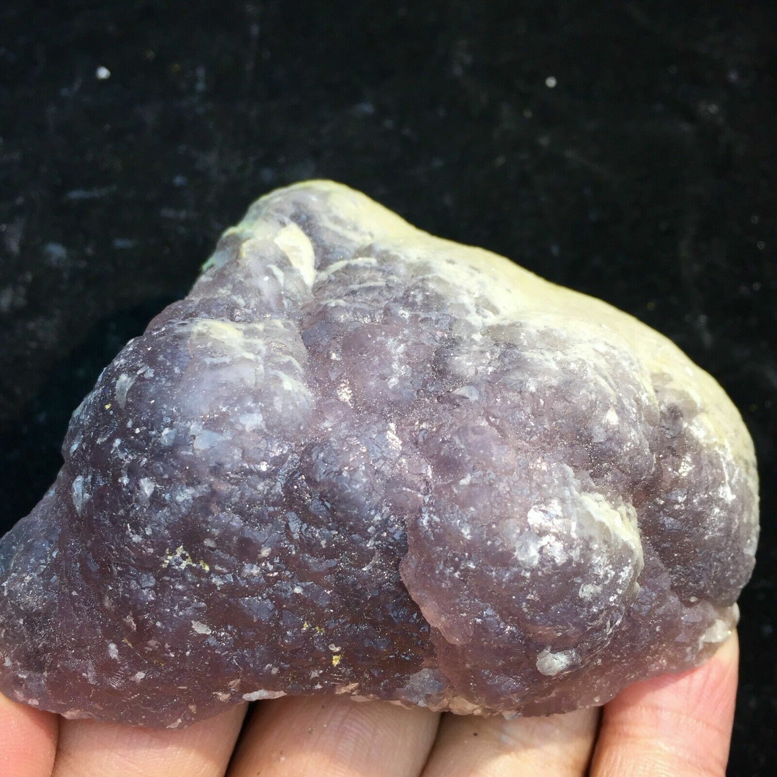 220g Natural Shiny Pyrite Based on the Purple Spherical Fluorite Crystal