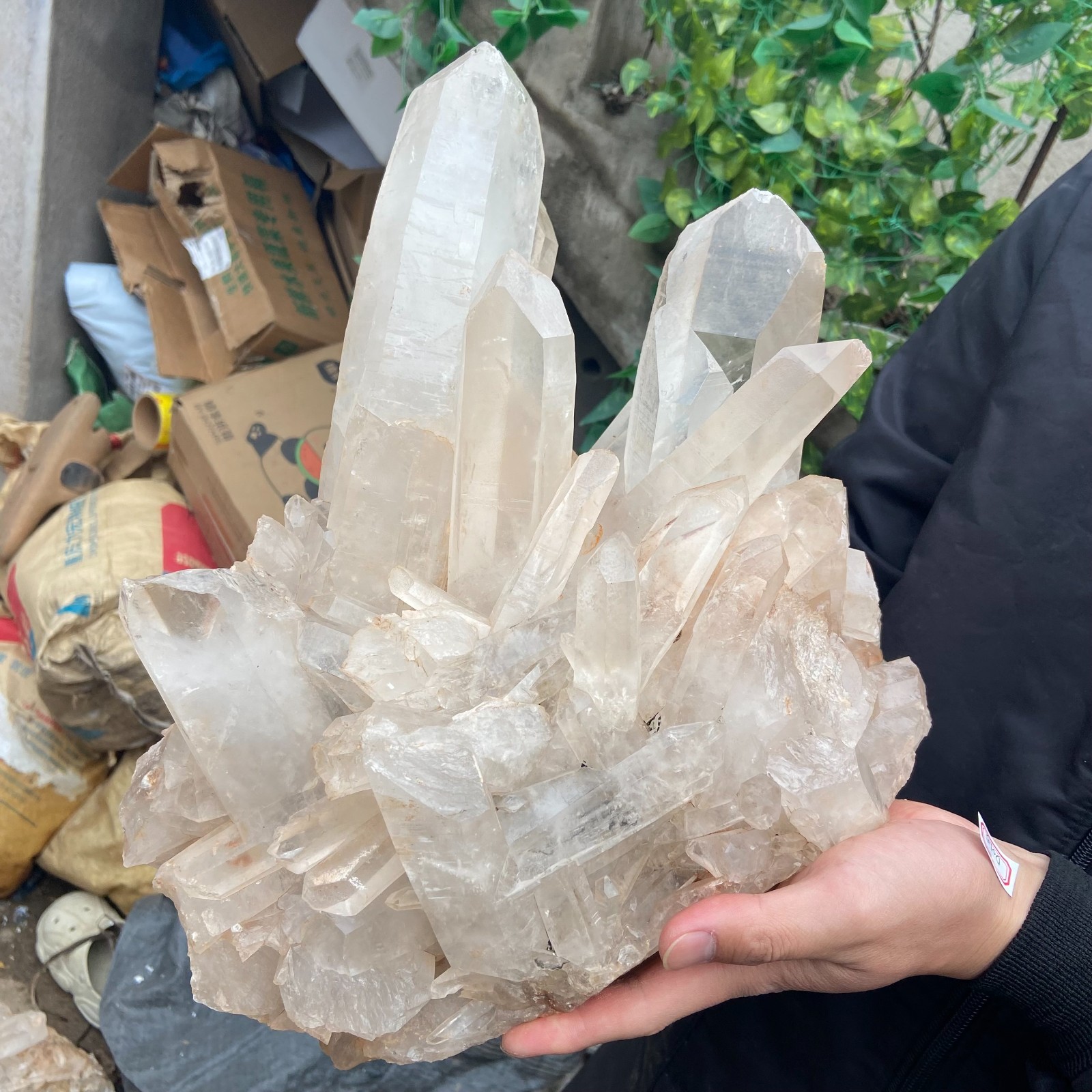29.9lb Natural Clear White Crystal Quartz Cluster Rough Healing Specimen