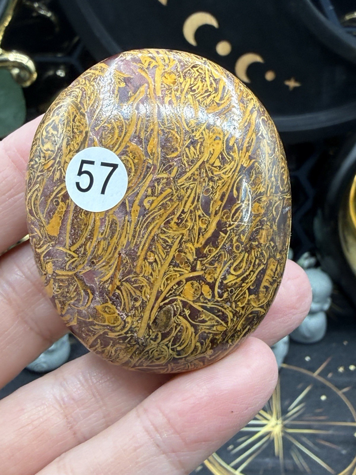 Natural Lg Calligraphy Stone Miriam fossilized shells, hematite, iron Free ship