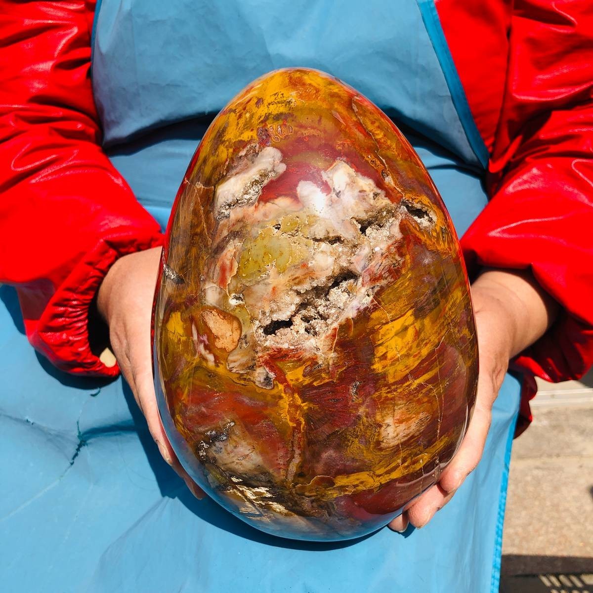 5870g Natural Petrified Wood Polished Stone Quartz Crystal
