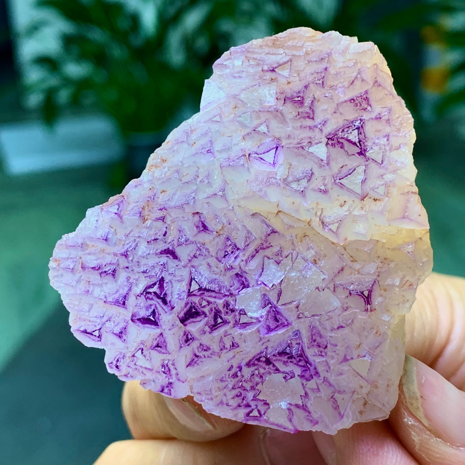 100G Natural fluorite purple edged cubic crystal mineral sample
