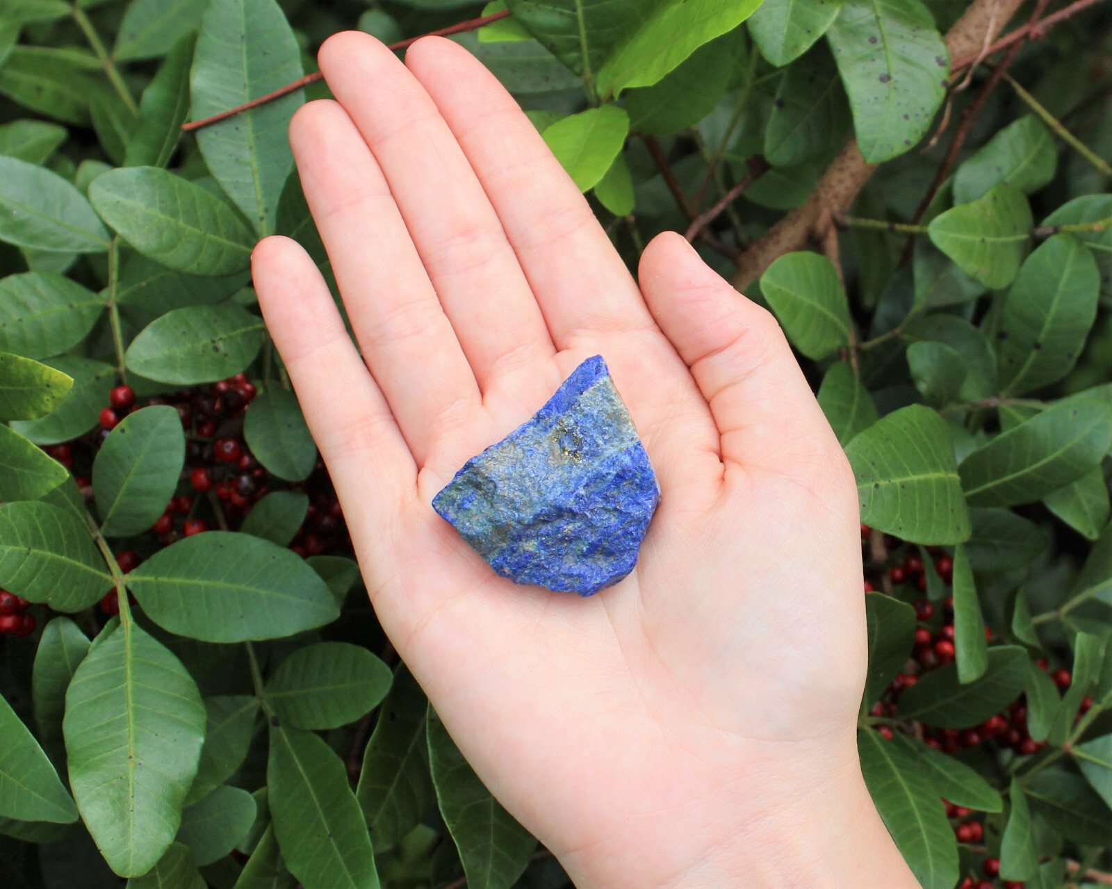 Natural Rough Lapis: 1 Piece (Blue Raw Crystal Gemstone Specimen)