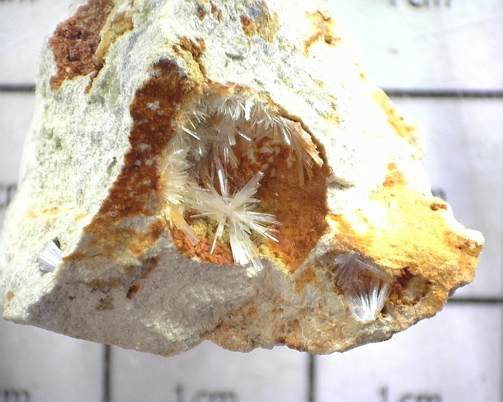 14364 MM Gypsum v Selenite Big Cliff Clackamas Co OR USA 67481