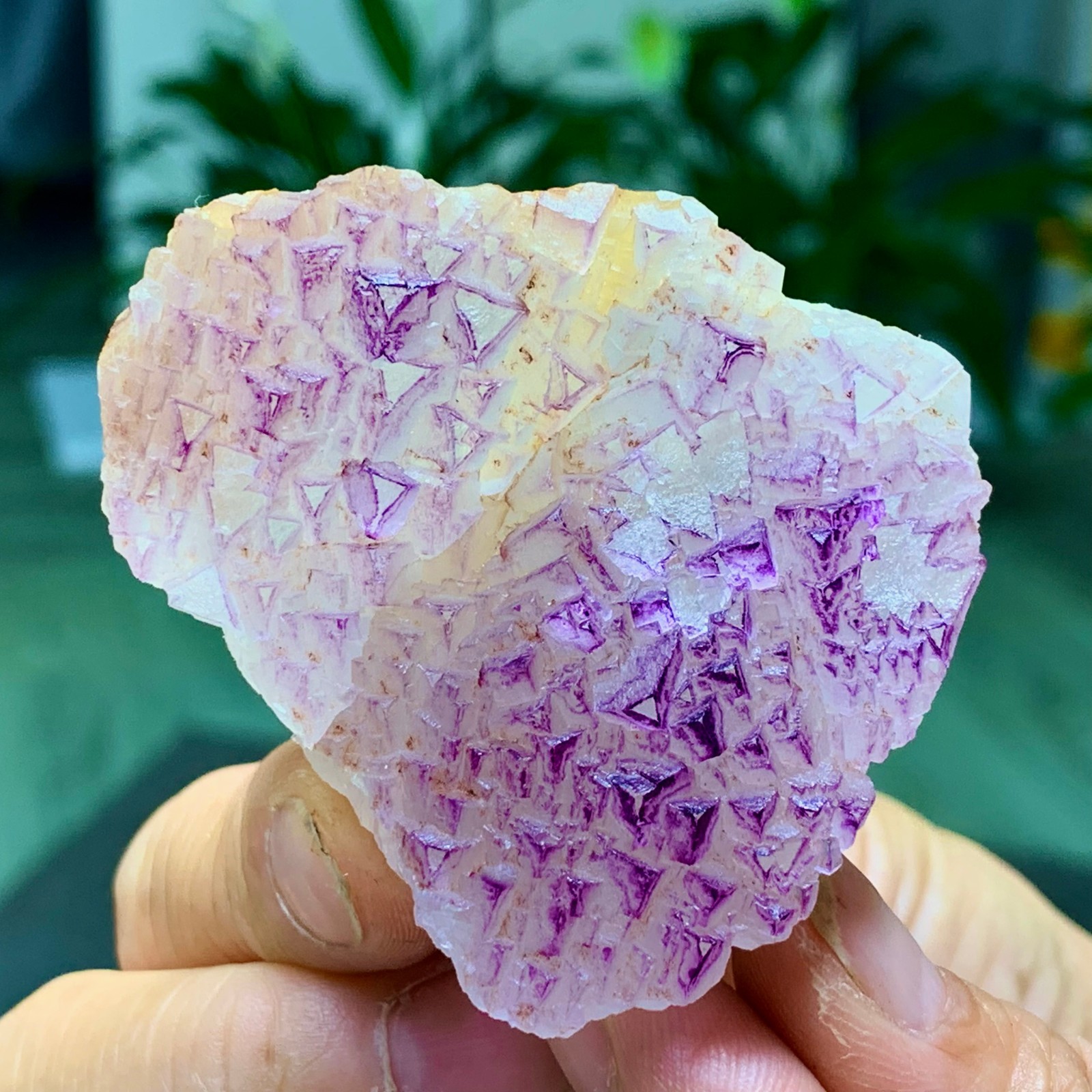 100G Natural fluorite purple edged cubic crystal mineral sample