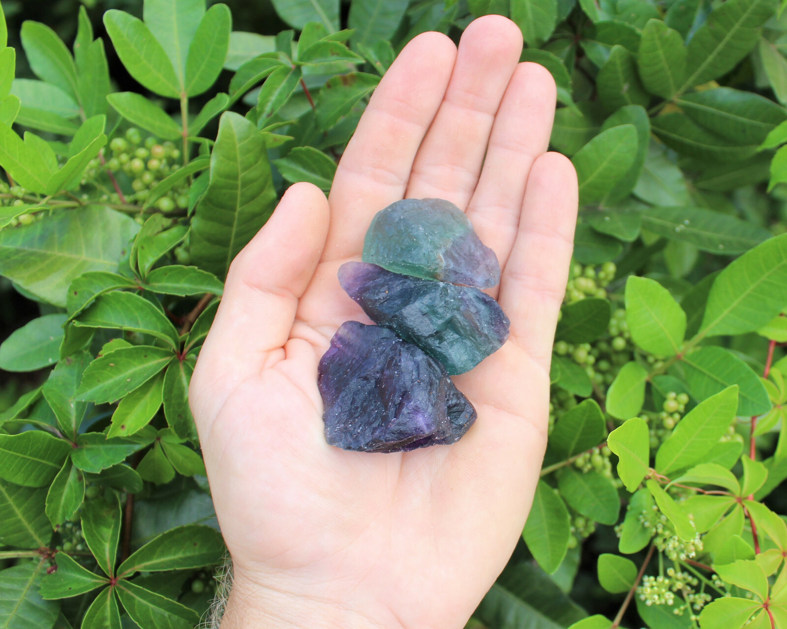 2 lb Bulk Lot Natural Rough Fluorite (Crystal Healing Raw Rock Mineral)