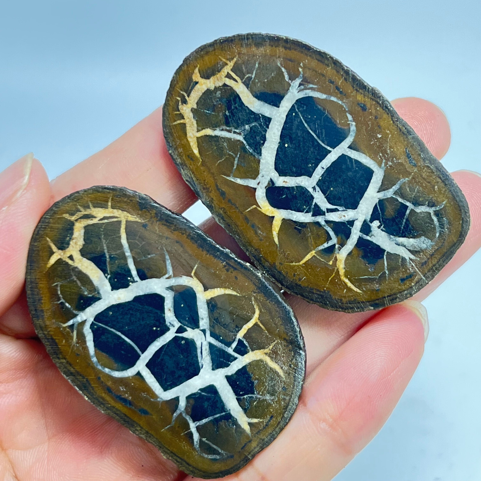 62G Natural Crystal Moroccan Turtle Back Stone Cutting Quartz Energy Spirit