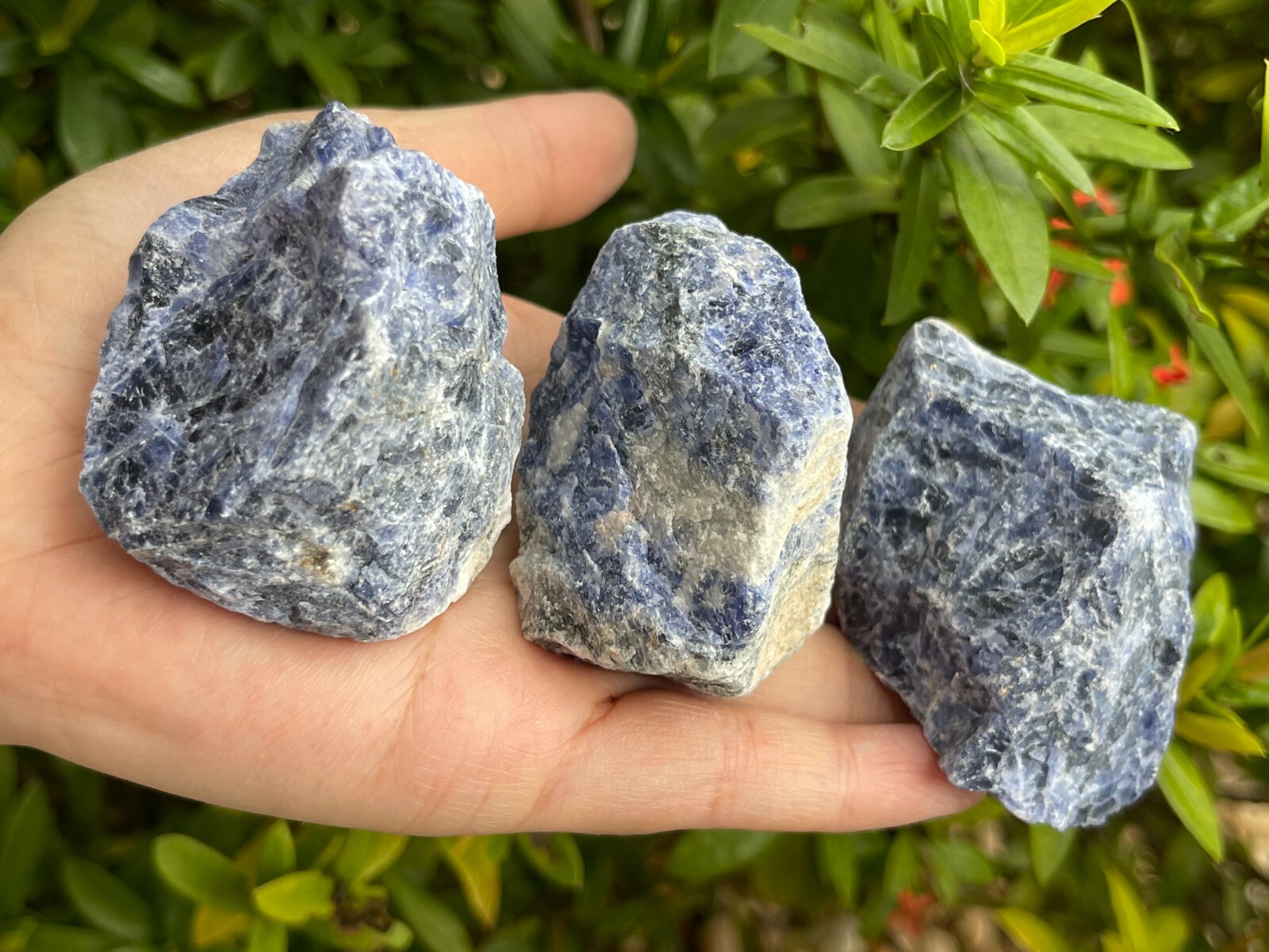 Large Sodalite Rough Natural Stones, 2-3″ Raw Sodalite Stone, Wholesale Bulk lot