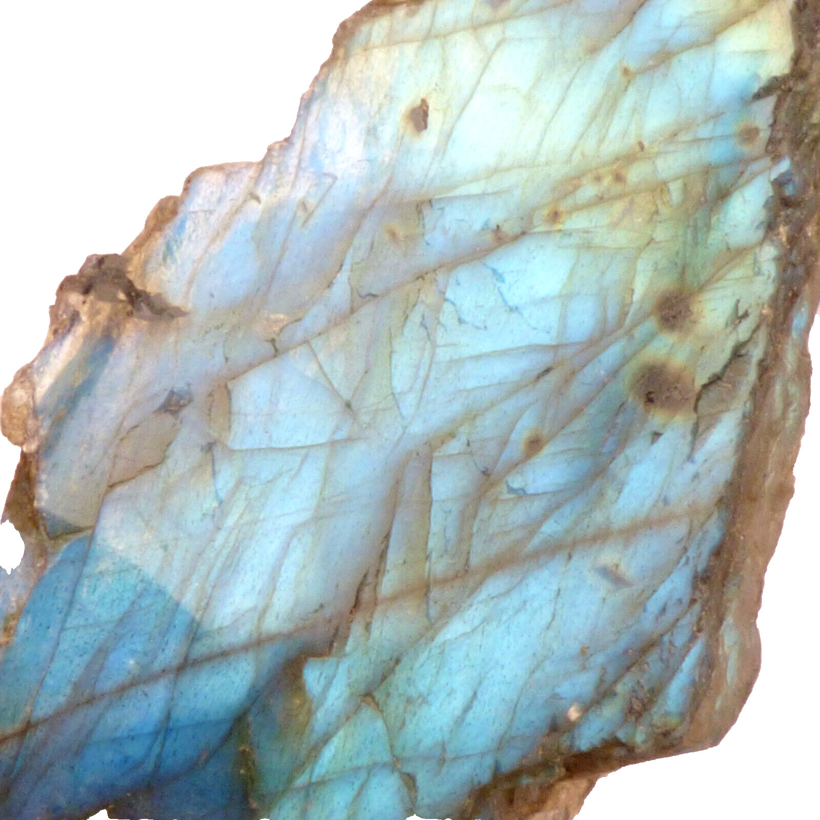 Labradorite Slice Blue Green Flash Iridescent Lustre Semi Polished Piece 7cm