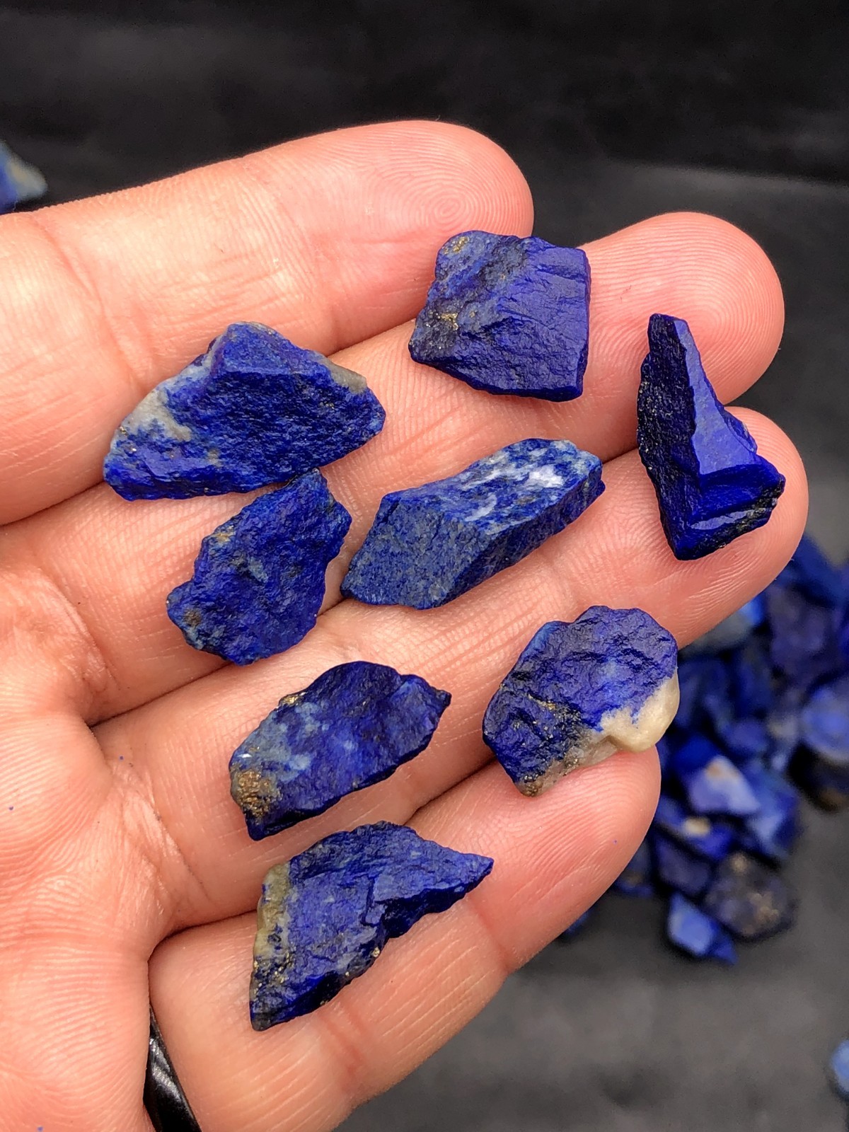 Natural Lapis Lazuli Raw Rough Mine Stone w/Pyrite Chakra Healing 14grams M476.4