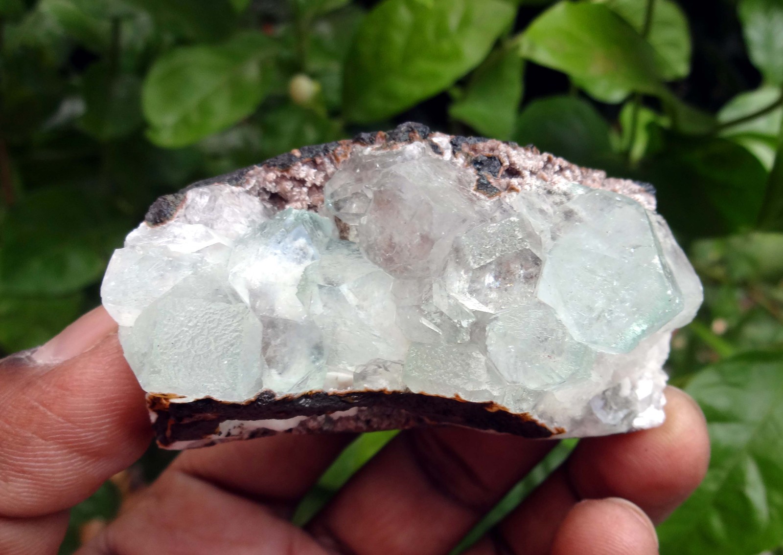 apophyllite crystals & matrix minerals specimen j-7
