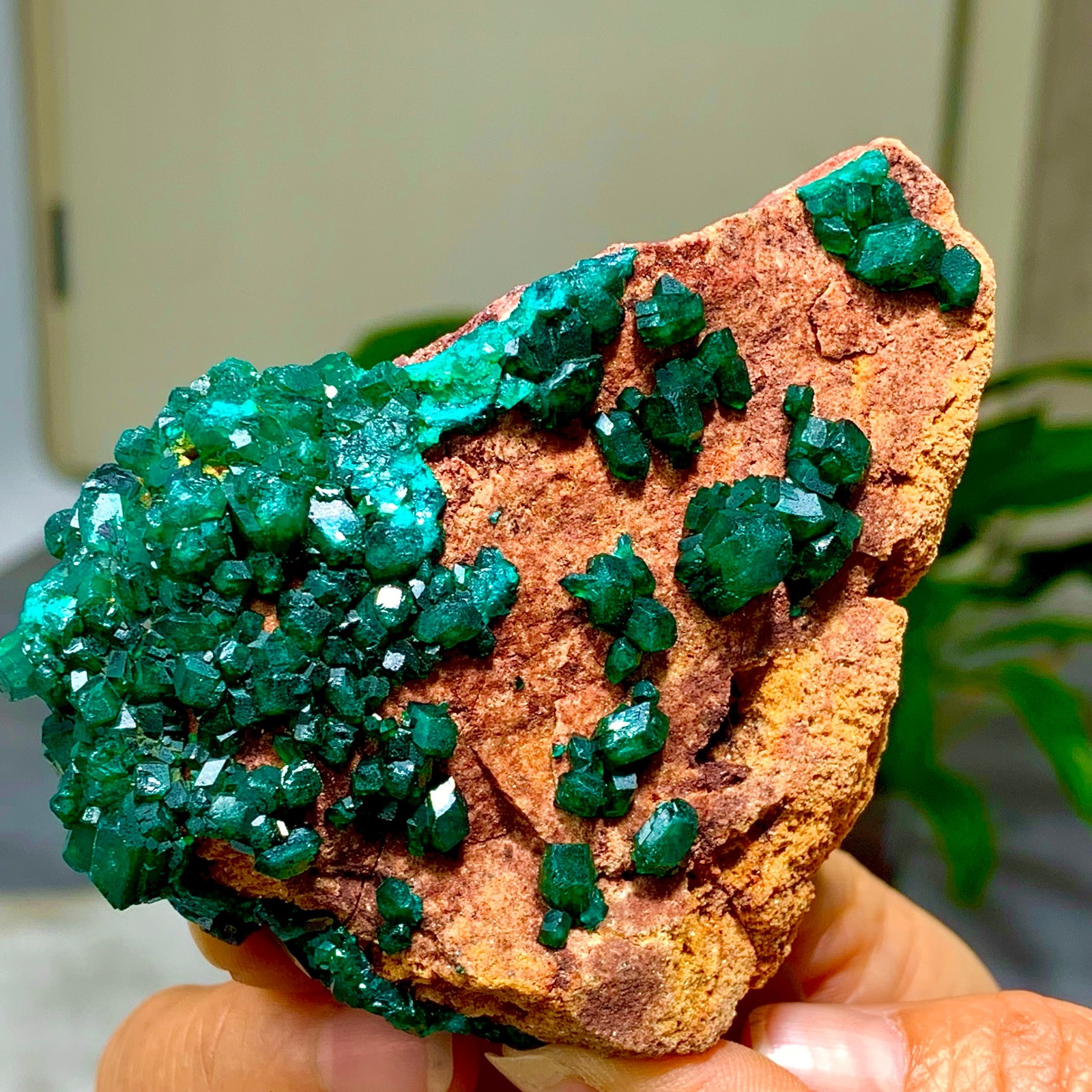 205G Natural Deep Green Grainy dioptase gemstone cluster mineral specimen