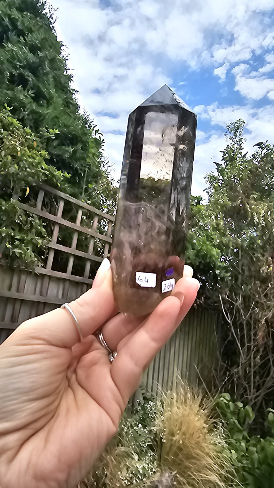 A Grade Smokey Quartz Freeform On Wood Root Base Point 261g 15.5cm smoky